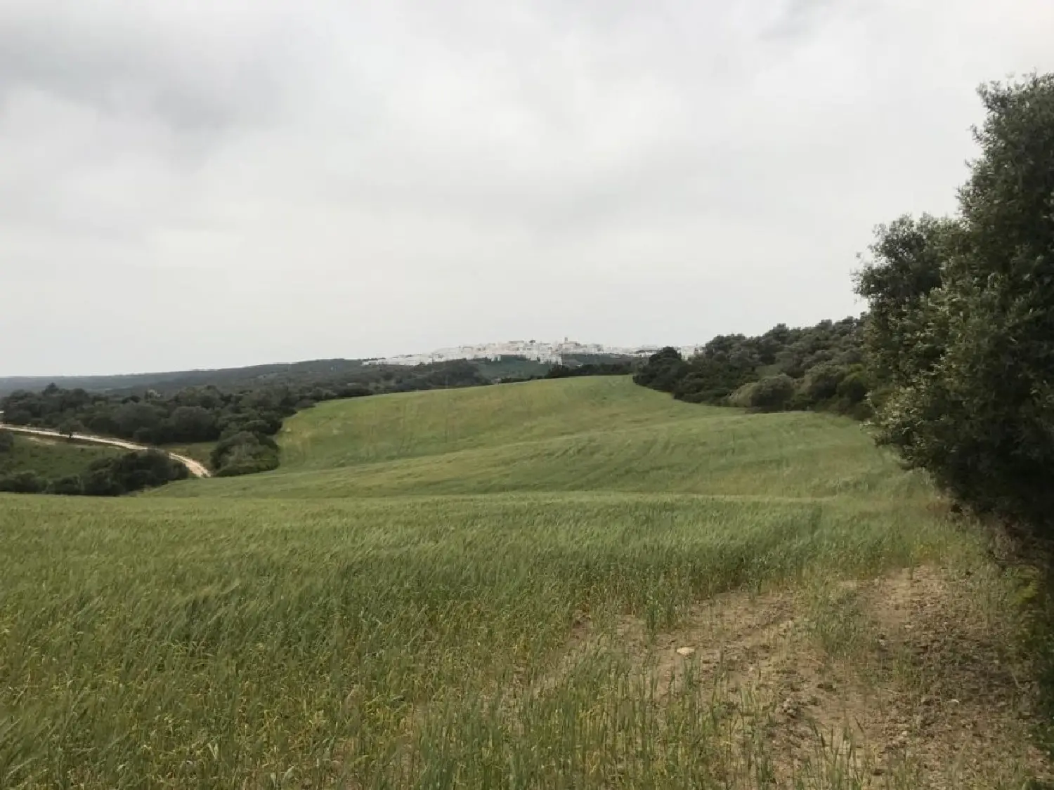  till salu lokal Jandilla Janda (La) 1