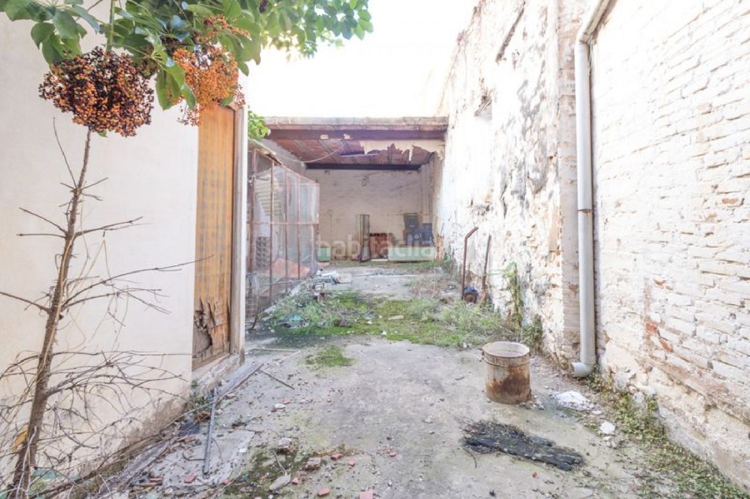 till salu lokal Carlet Ribera Alta 2