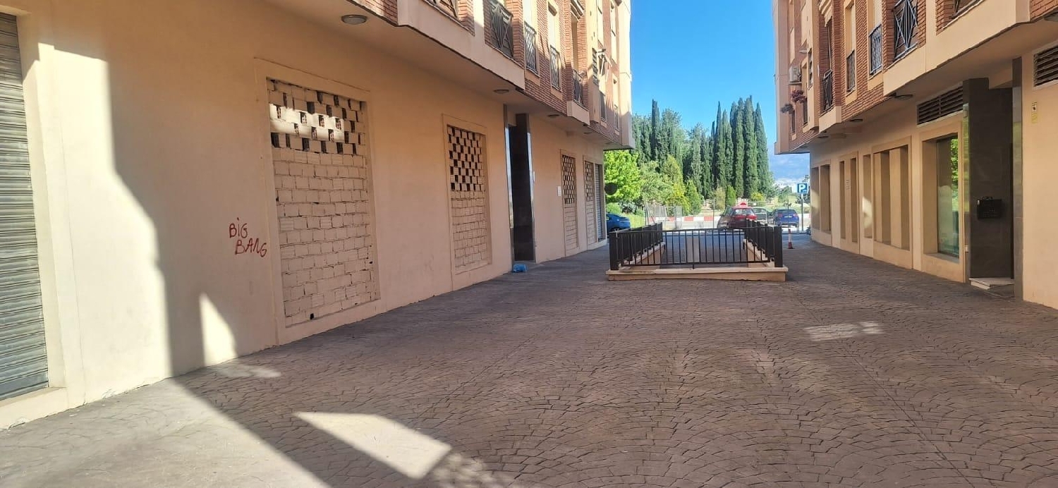 till salu lokal Casanueva Vega De Granada 3