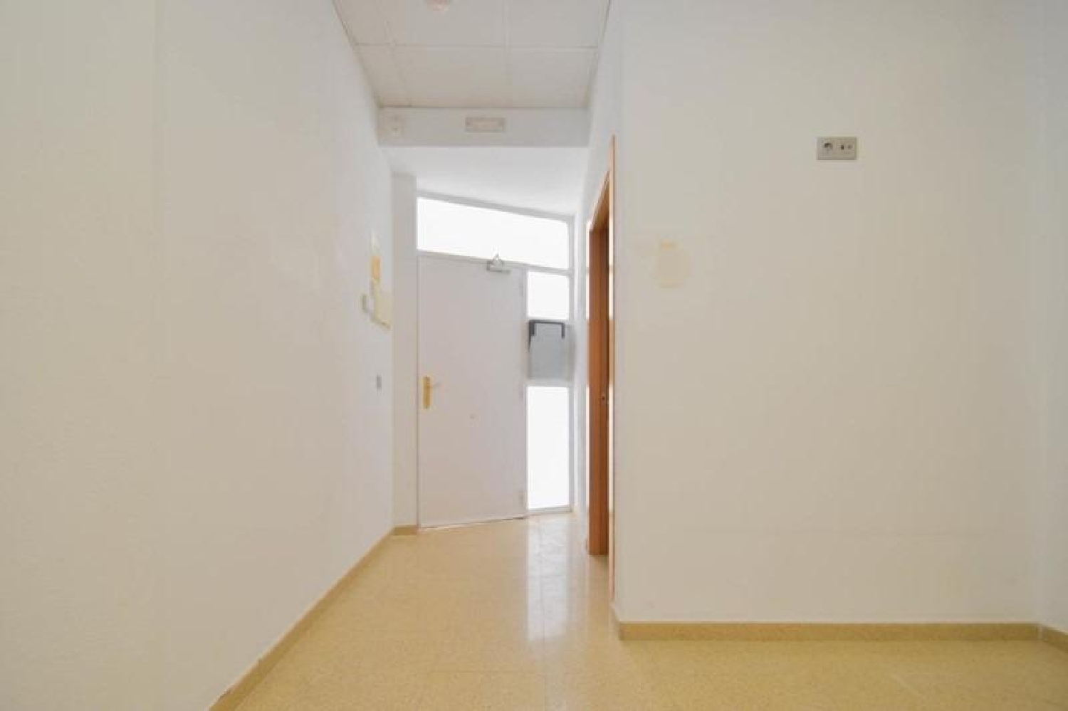 till salu lokal Casanueva Vega De Granada 2
