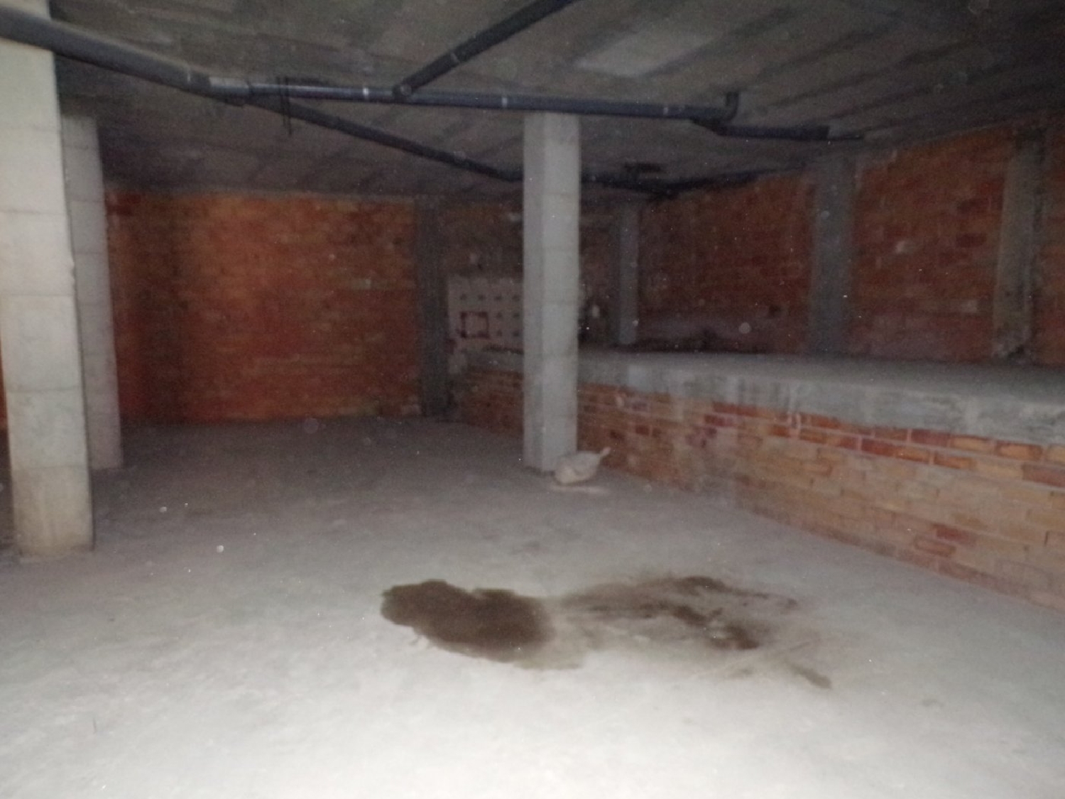 till salu lokal Castellón Centro 12002 Plana Alta 3