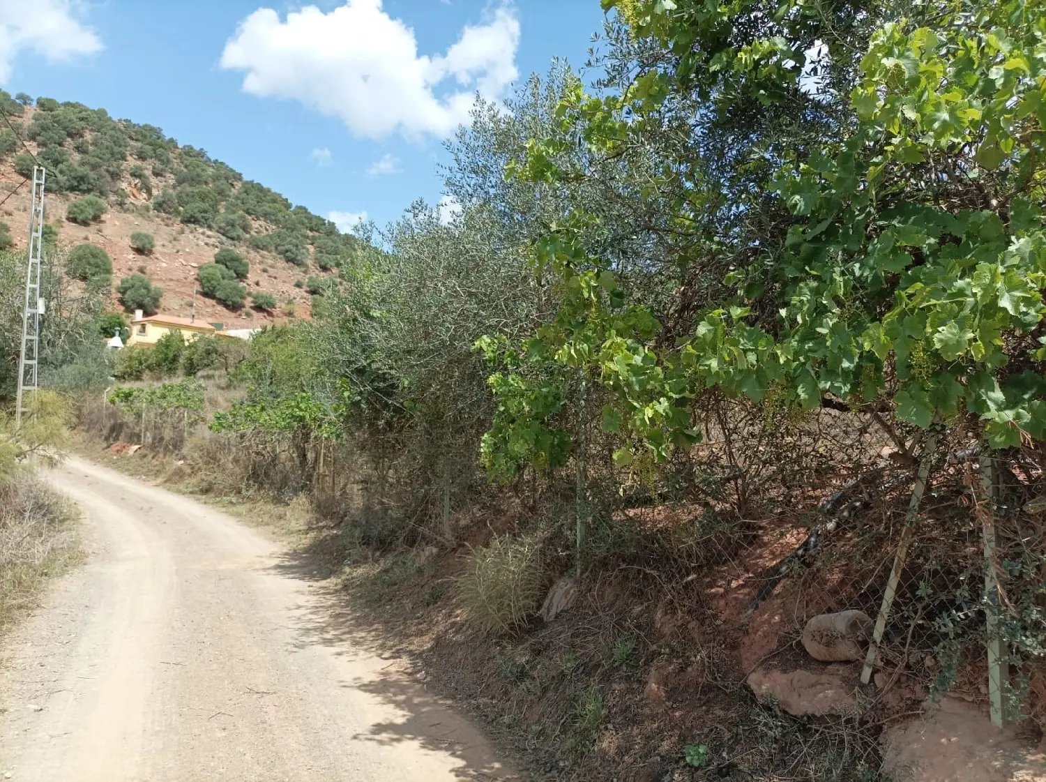  till salu lokal Montemar Costa Del Sol Occidental 1