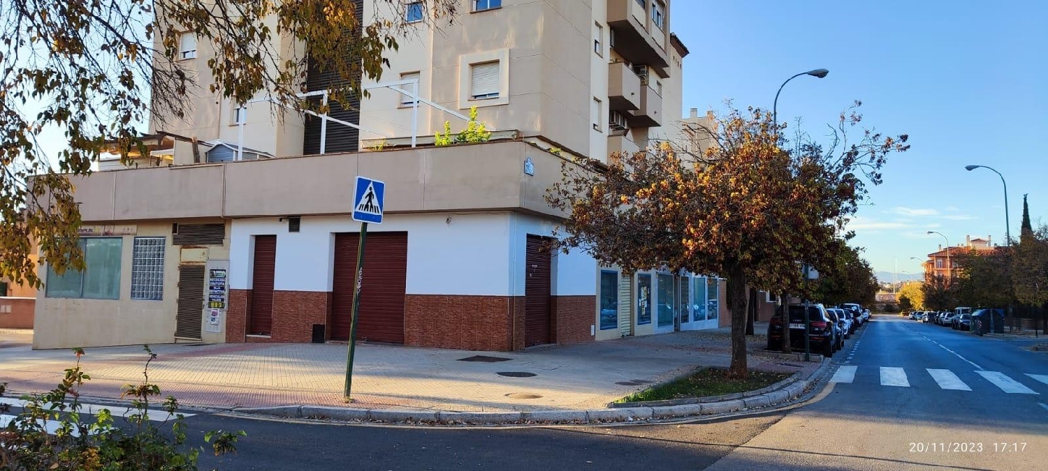  till salu lokal Chana - Parque Almunia - Caleta Vega De Granada 1