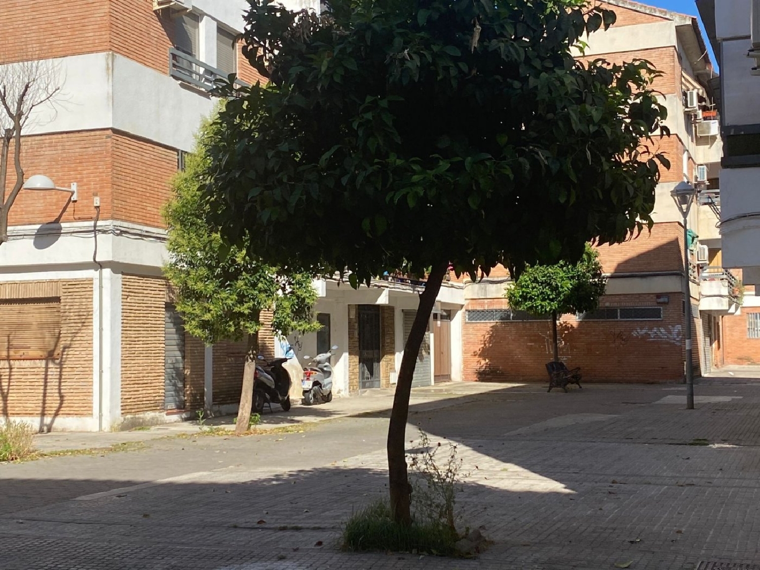  till salu lokal Ciudad Jardín Córdoba 5