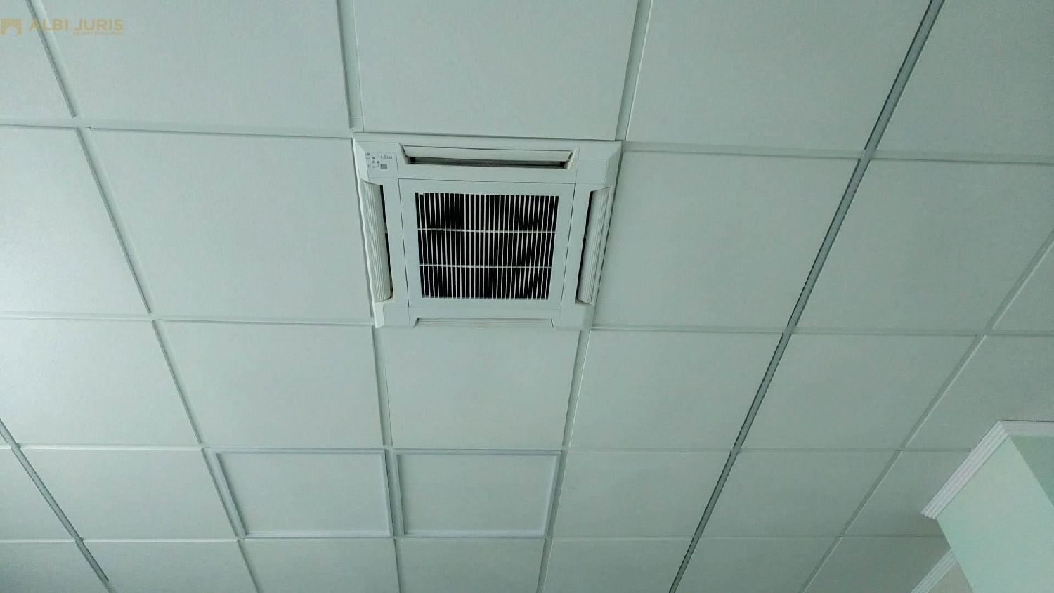  till salu lokal Crevillent Baix Vinalopó 5