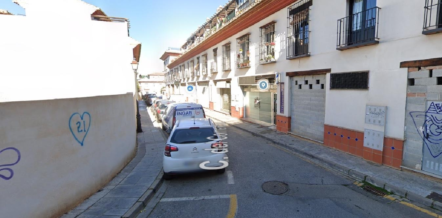 till salu lokal Cumbres Verdes Vega De Granada 2