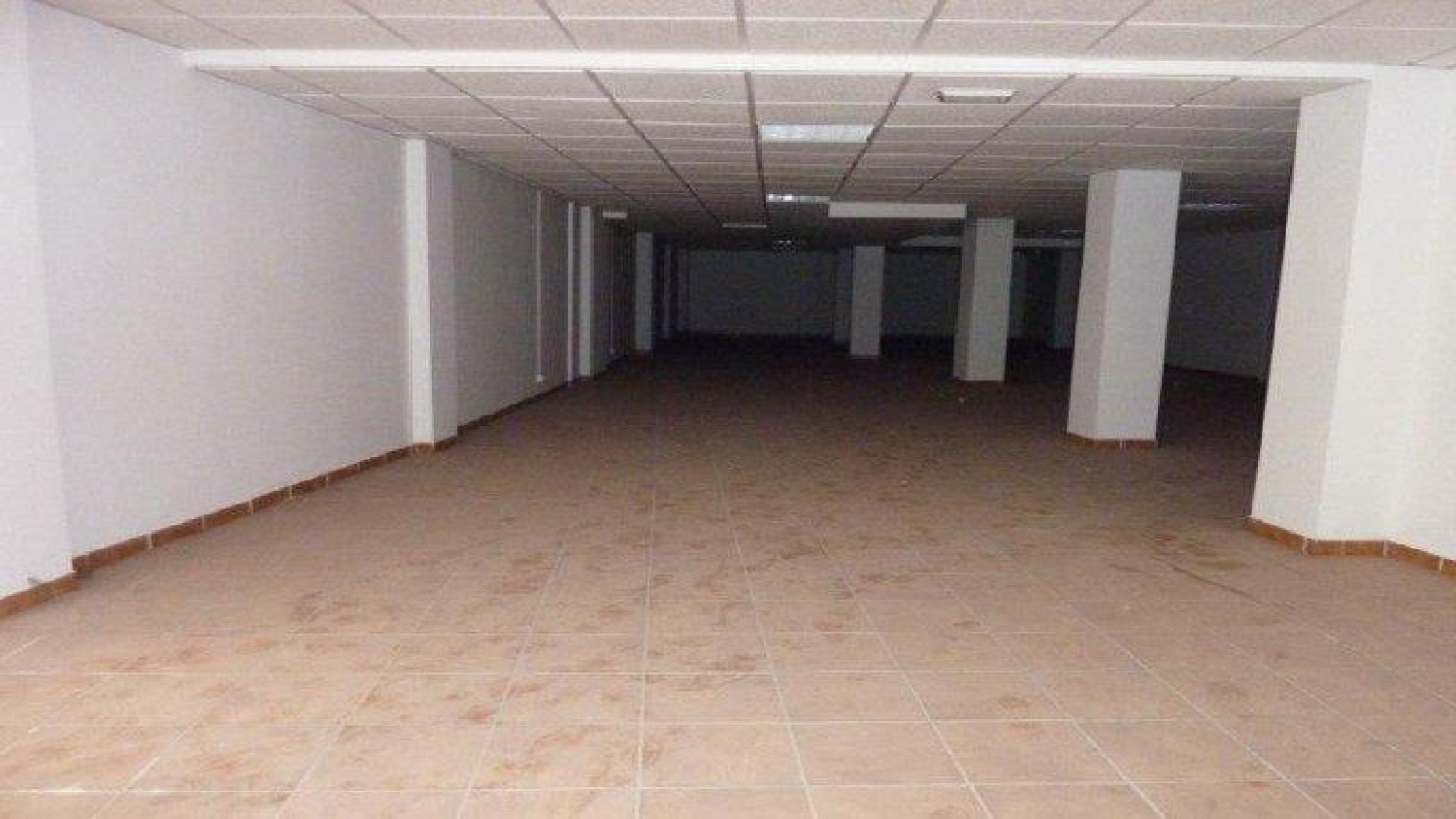  till salu lokal El Barrichuelo Vega De Granada 6
