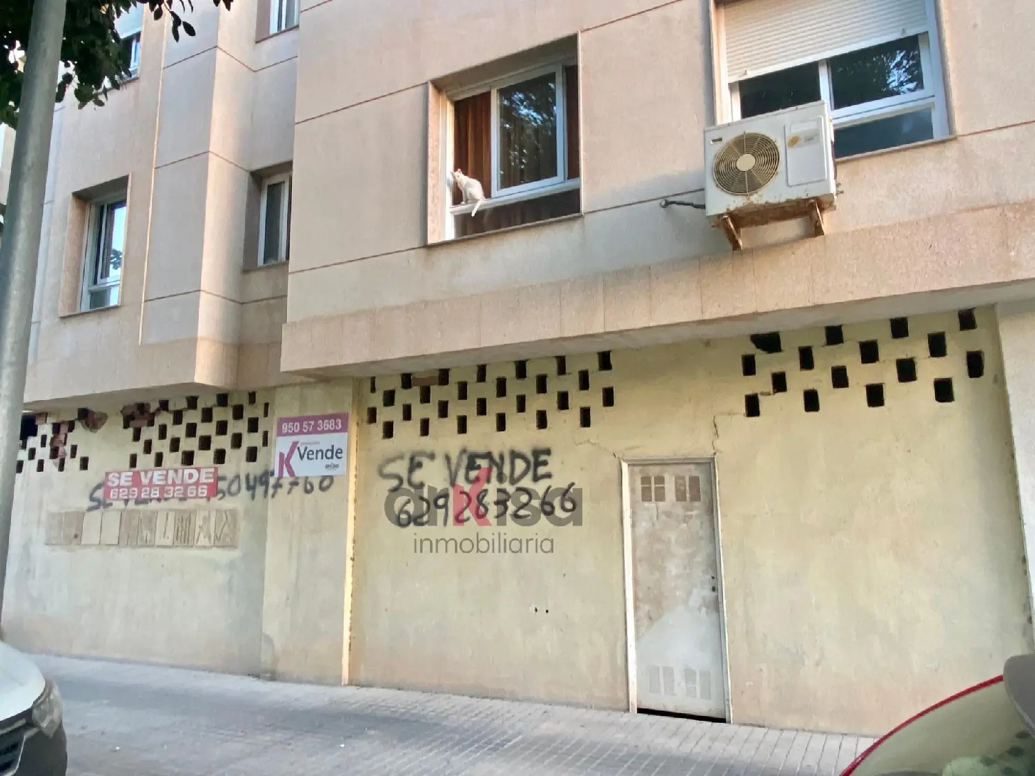 till salu lokal El Ejido Poniente Almeriense 2