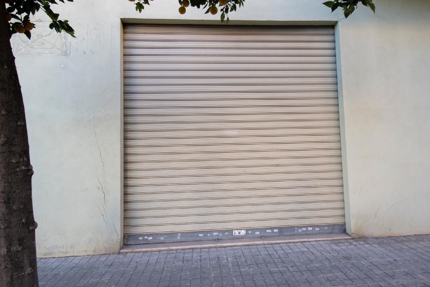 till salu lokal El Puerto De Sagunto Camp De Morvedre 3