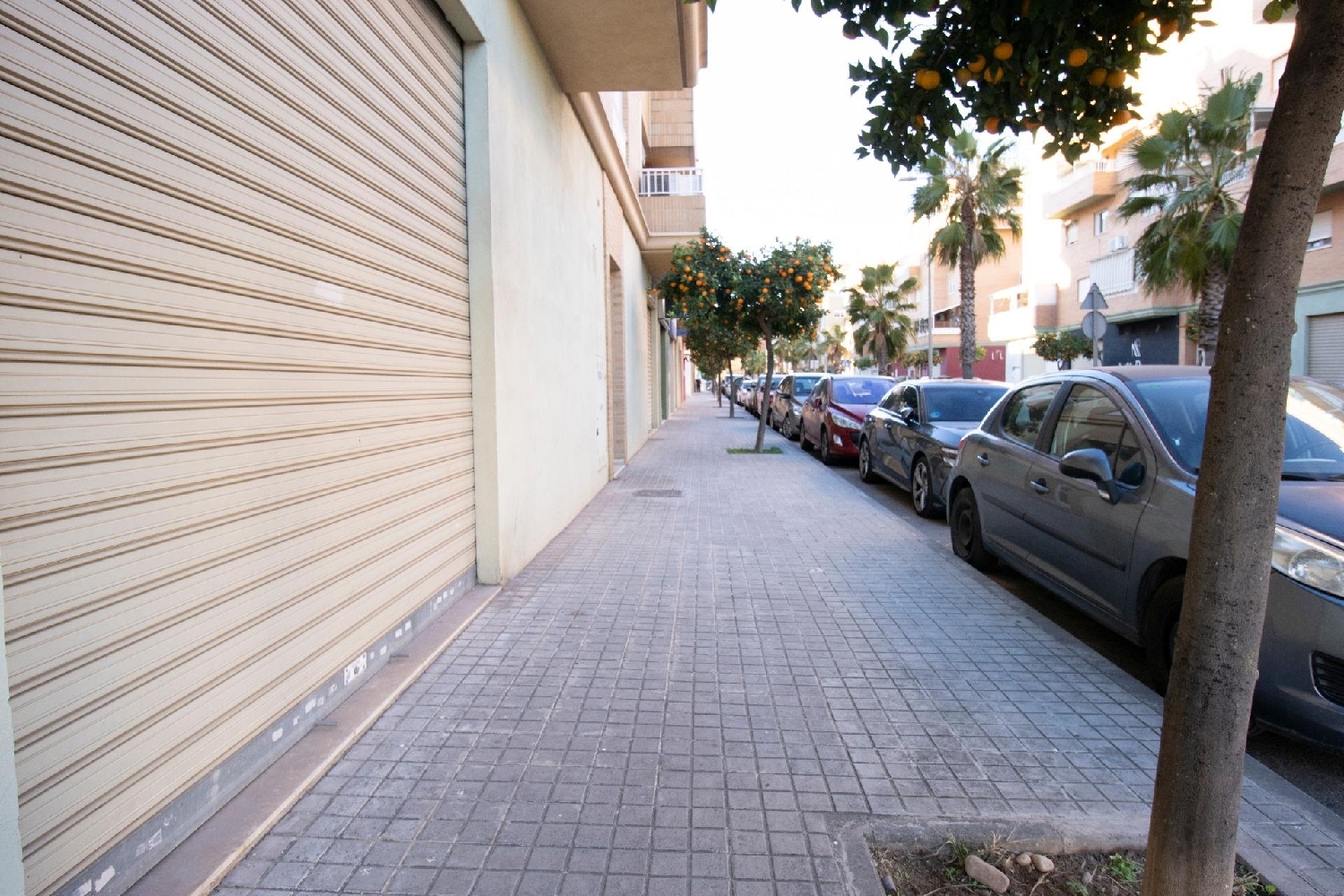  till salu lokal El Puerto De Sagunto Camp De Morvedre 5