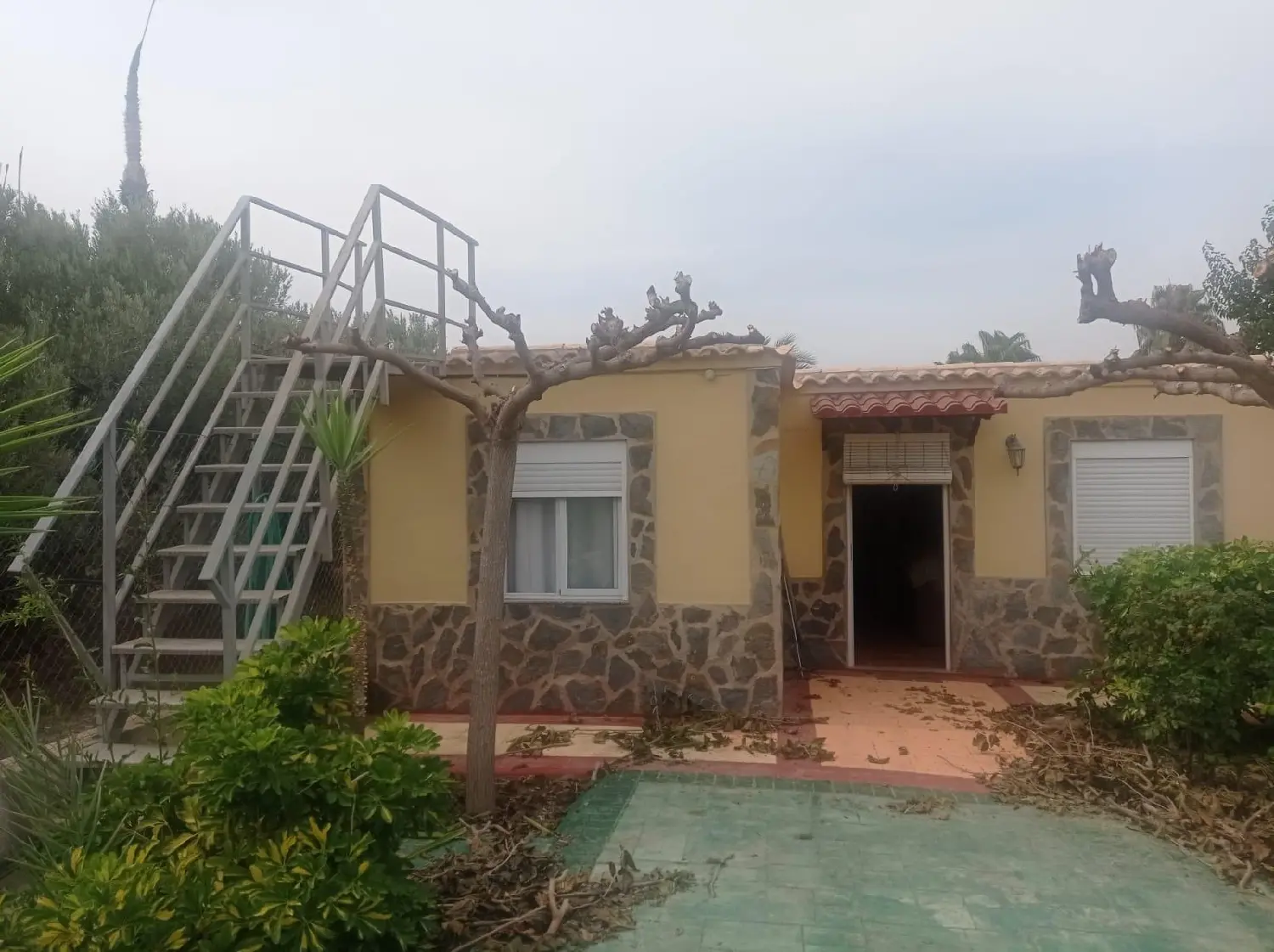 till salu lokal El Vincle Baix Vinalopó 2