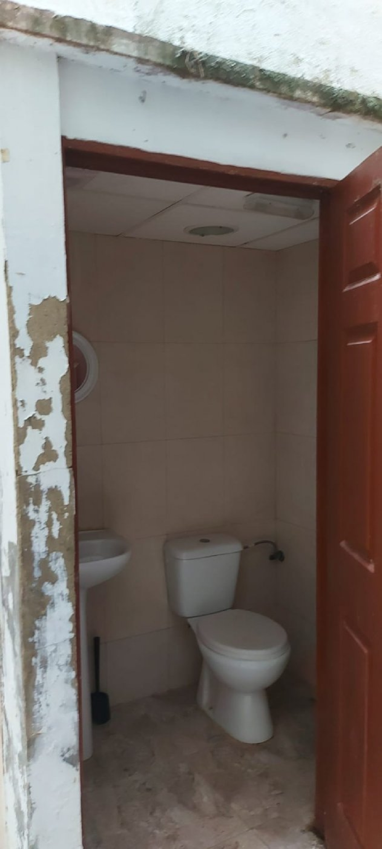  till salu lokal Elche Carrús Est Baix Vinalopó 5