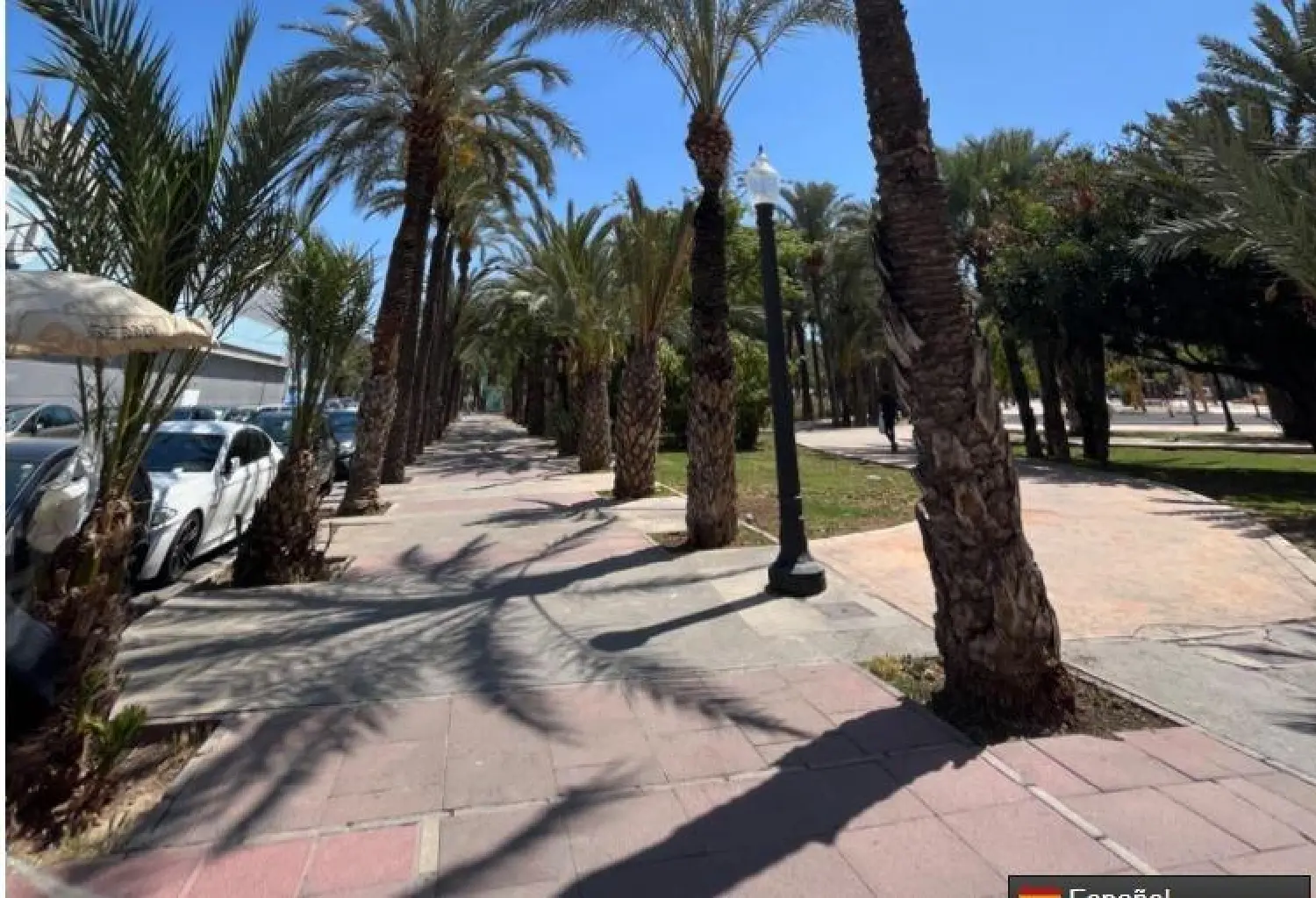  till salu lokal Elche Universidad Baix Vinalopó 1