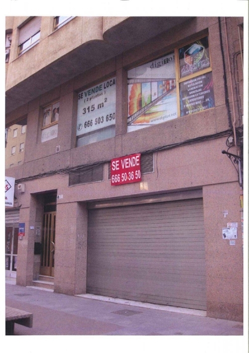 Elche Pla Sur Baix Vinalopó lokal foto 6239749