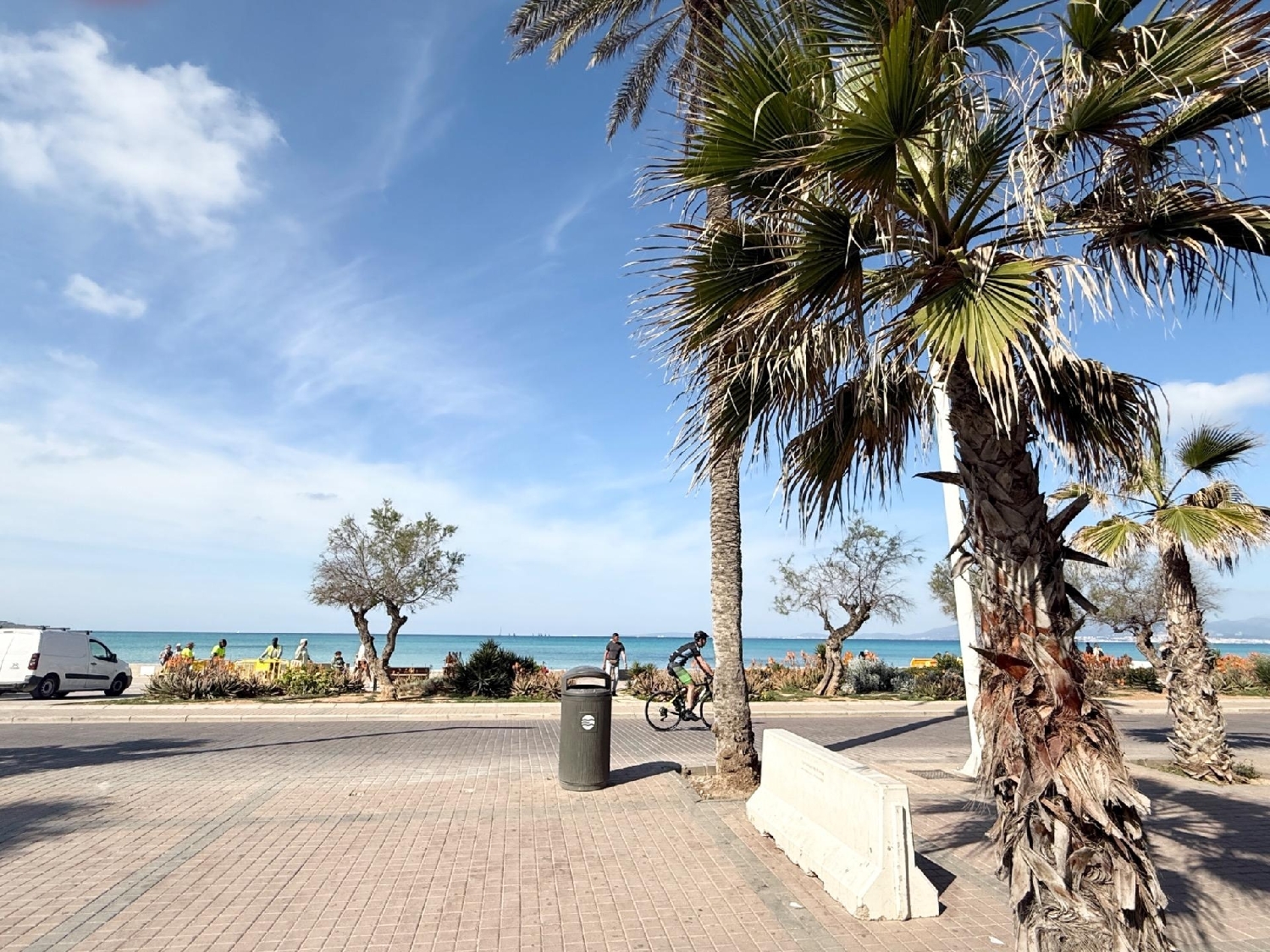  till salu lokal Es Pil-Larí Palma 6