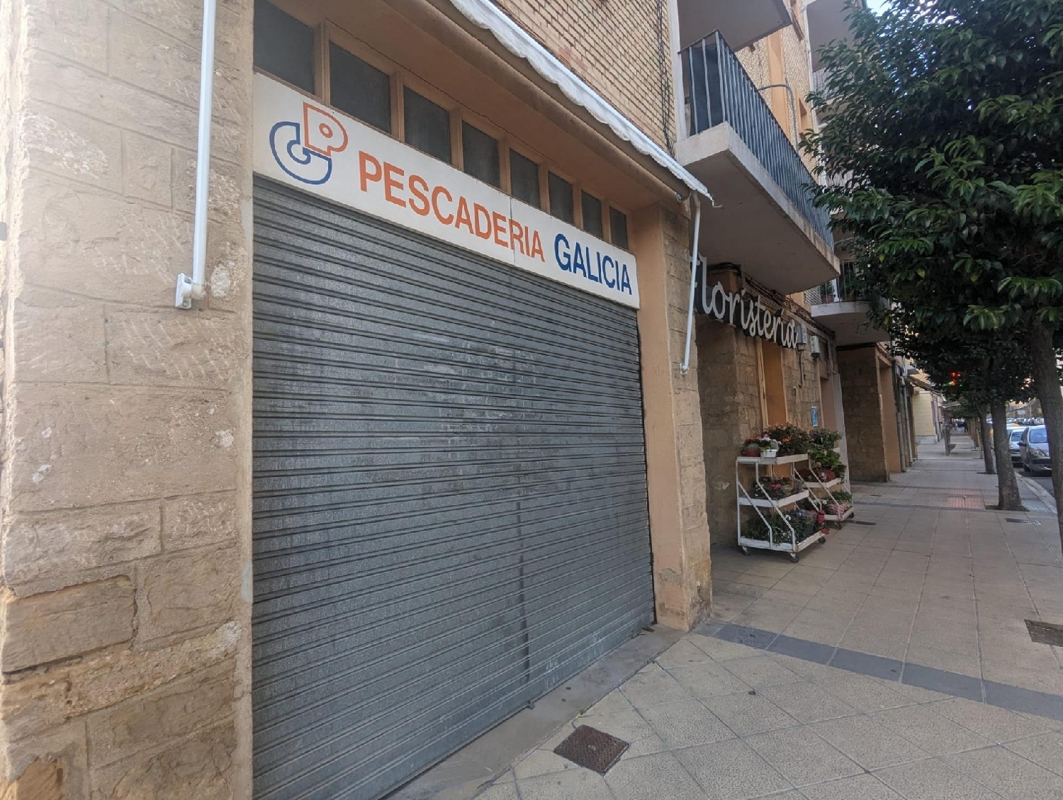 till salu lokal Estella Tierra Estella 2