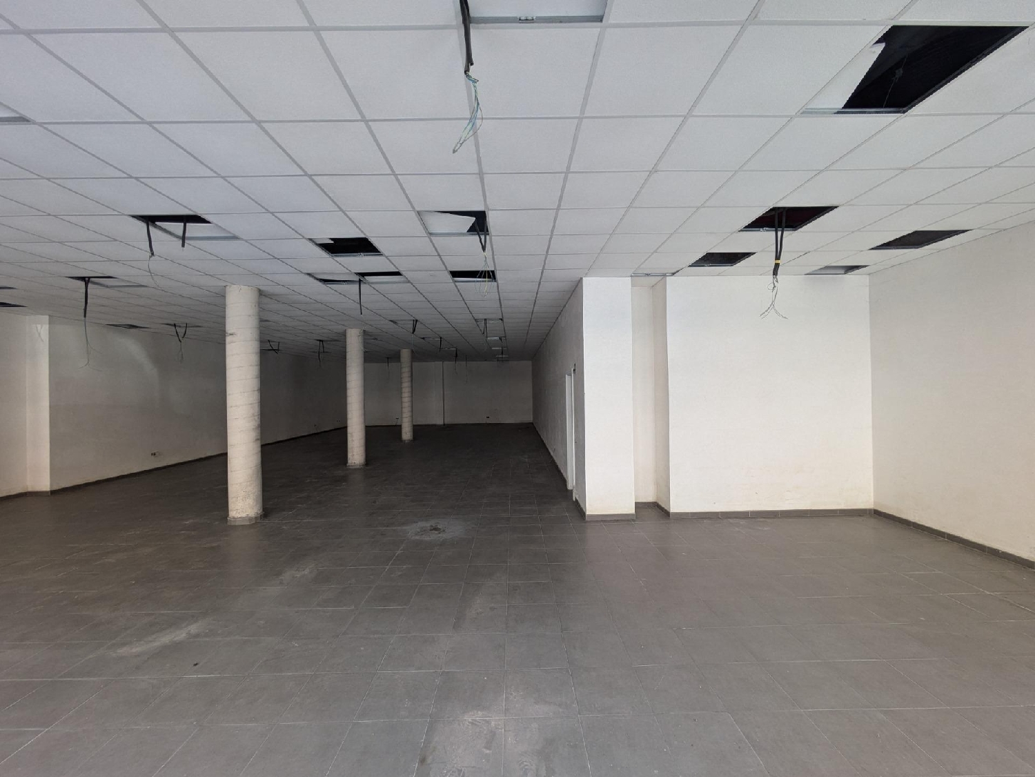 till salu lokal Eucaliptus Montsià 2