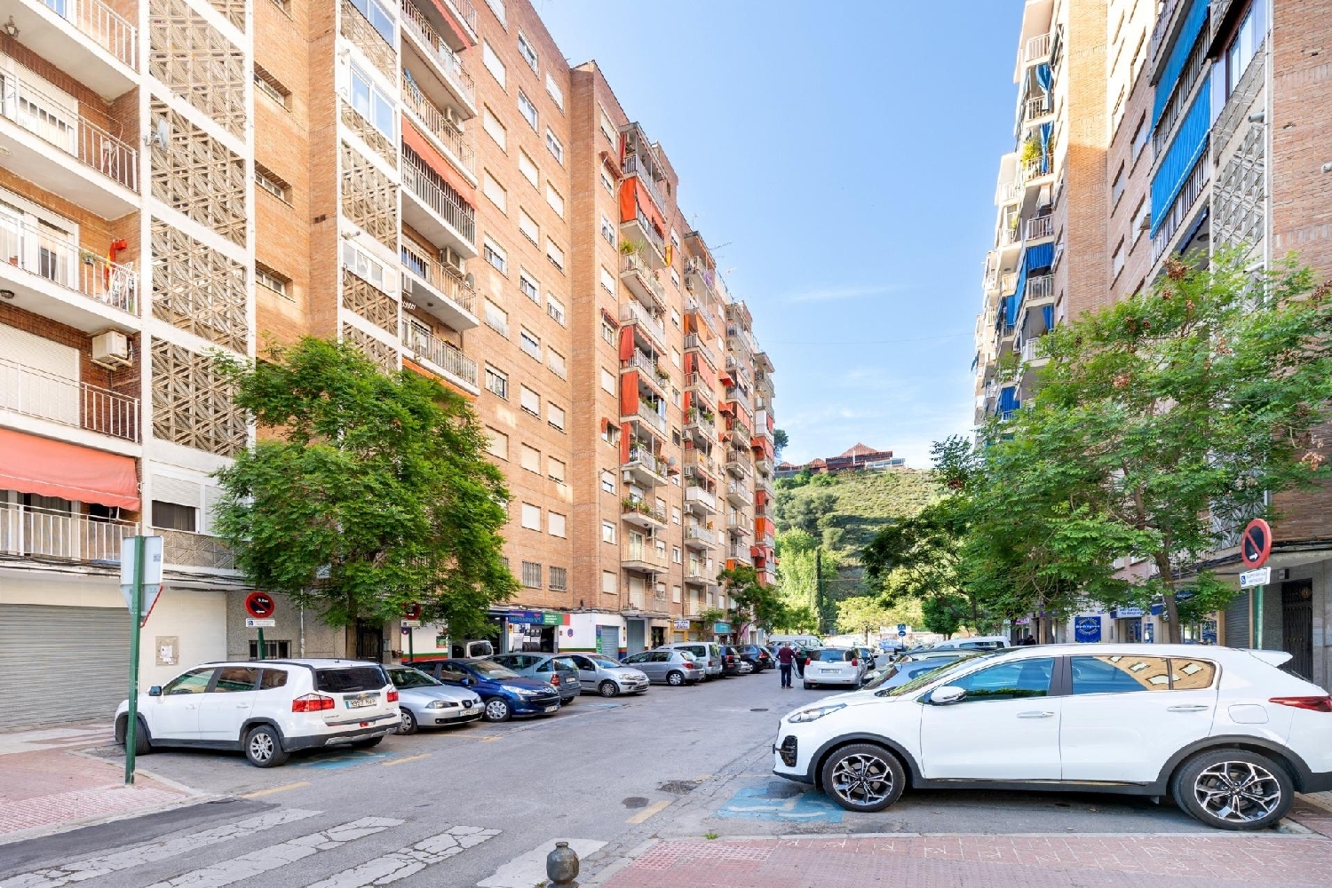 till salu lokal Gabia Grande Vega De Granada 3