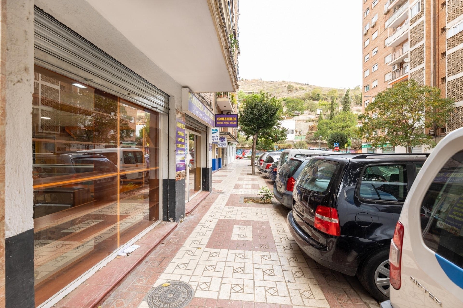  till salu lokal Gabia Grande Vega De Granada 6