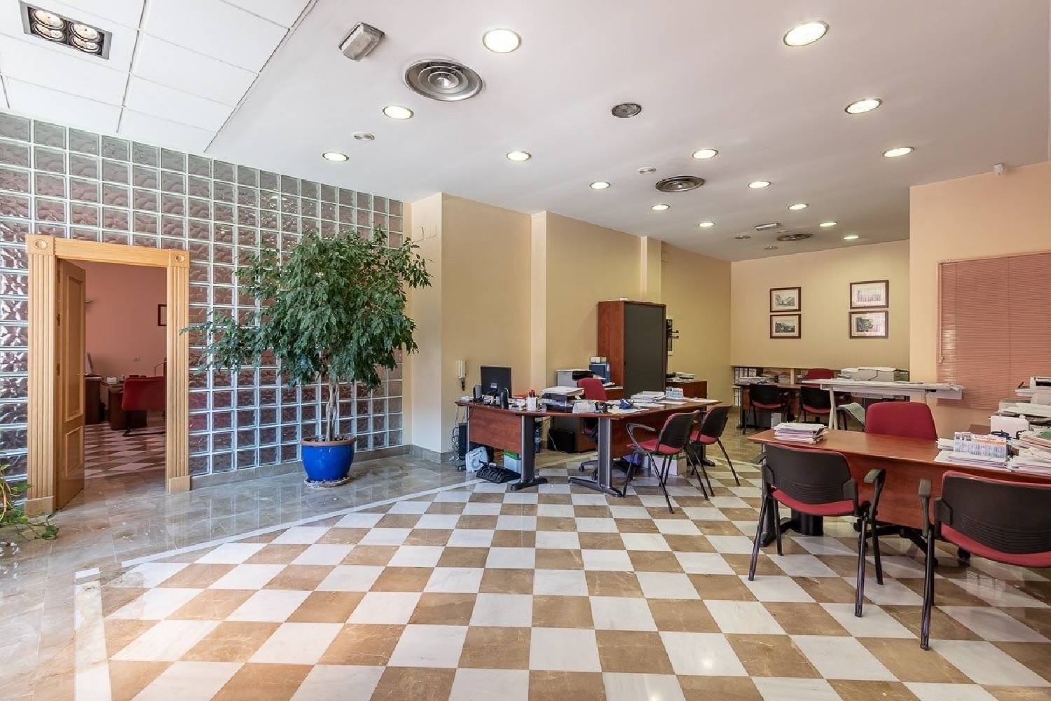 till salu lokal Genil Vega De Granada 2