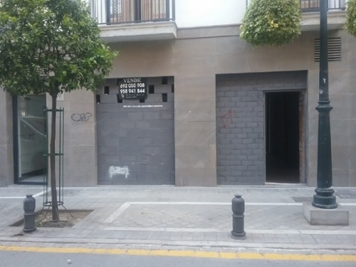 Granada Centro 18009 Vega De Granada lokal foto 6238038