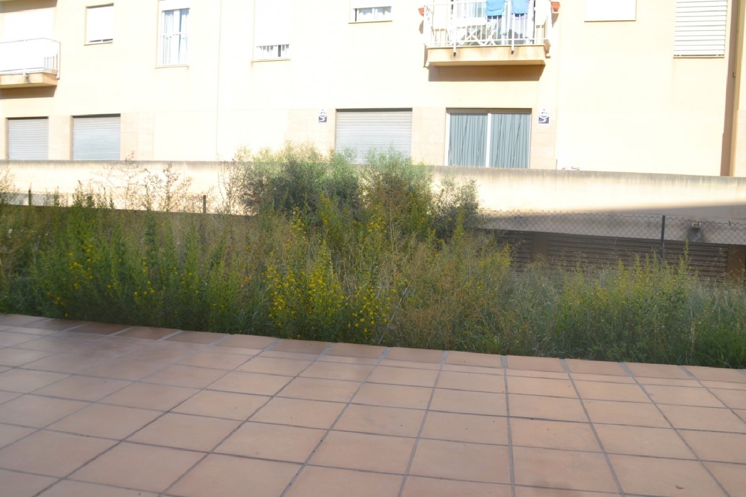  for sale commercial premise Inca Raiguer 1
