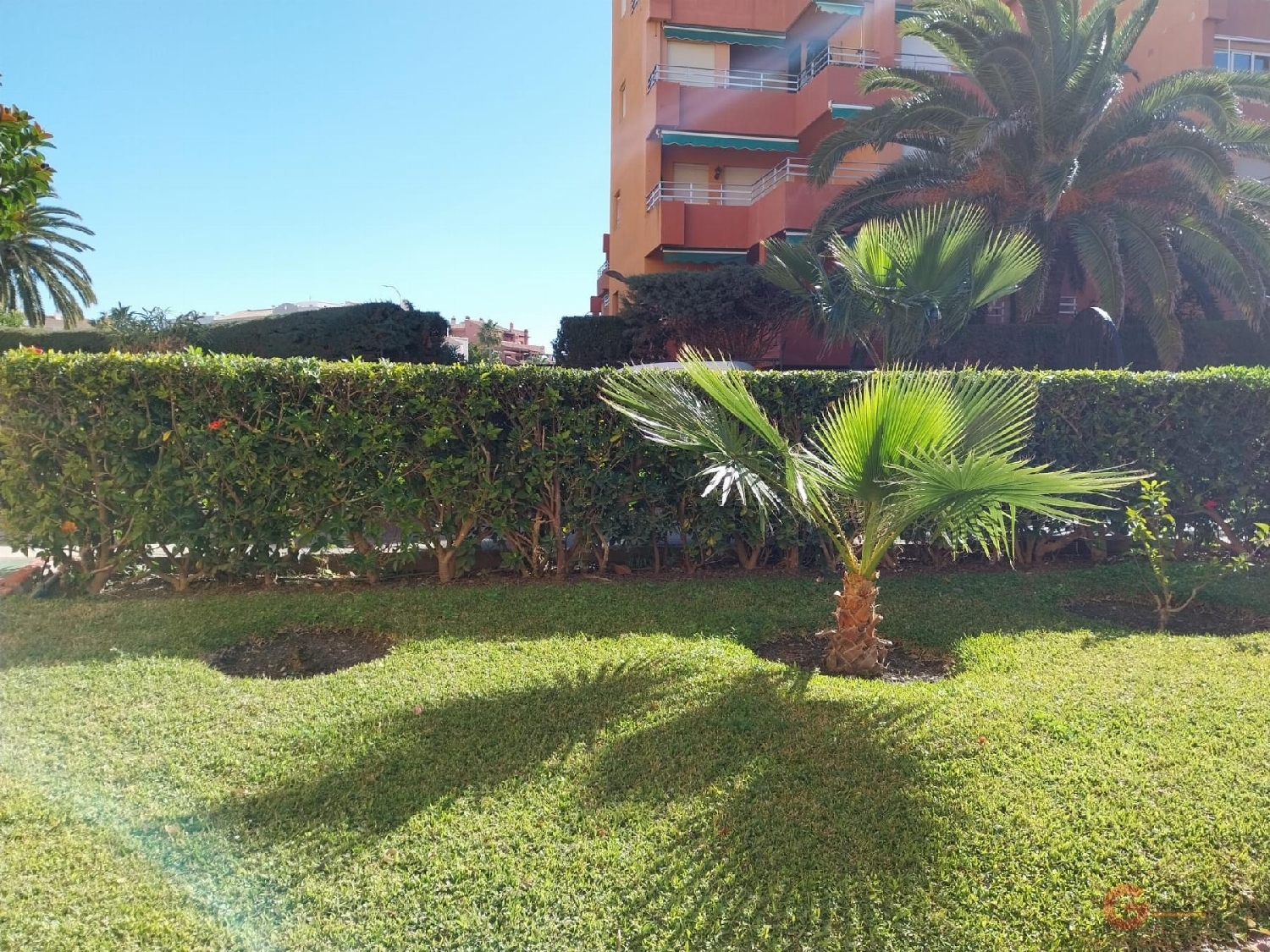 till salu lokal La Caleta-Guardia Costa Tropical 2