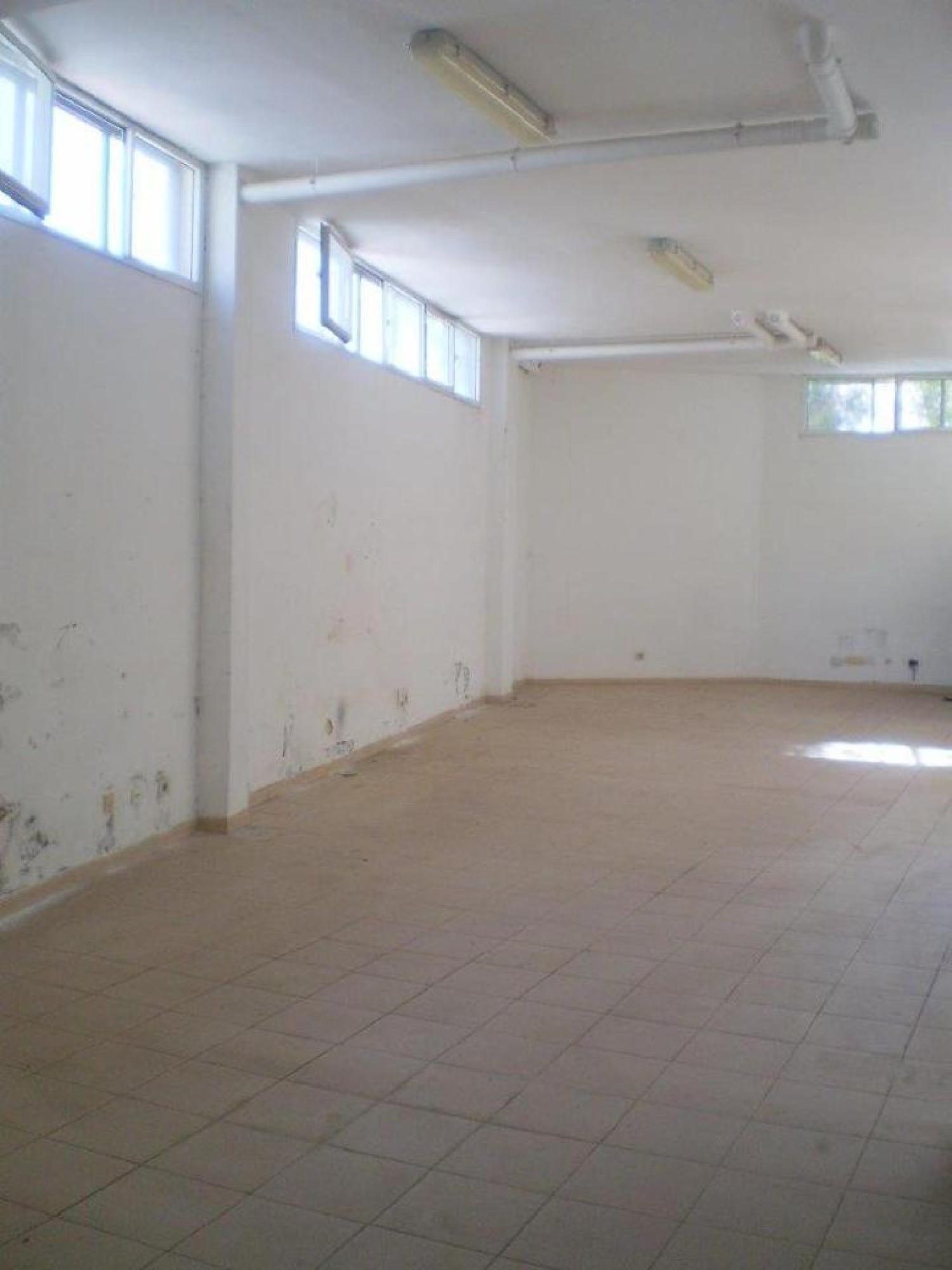  till salu lokal La Gallega Zona Metropolitana 4
