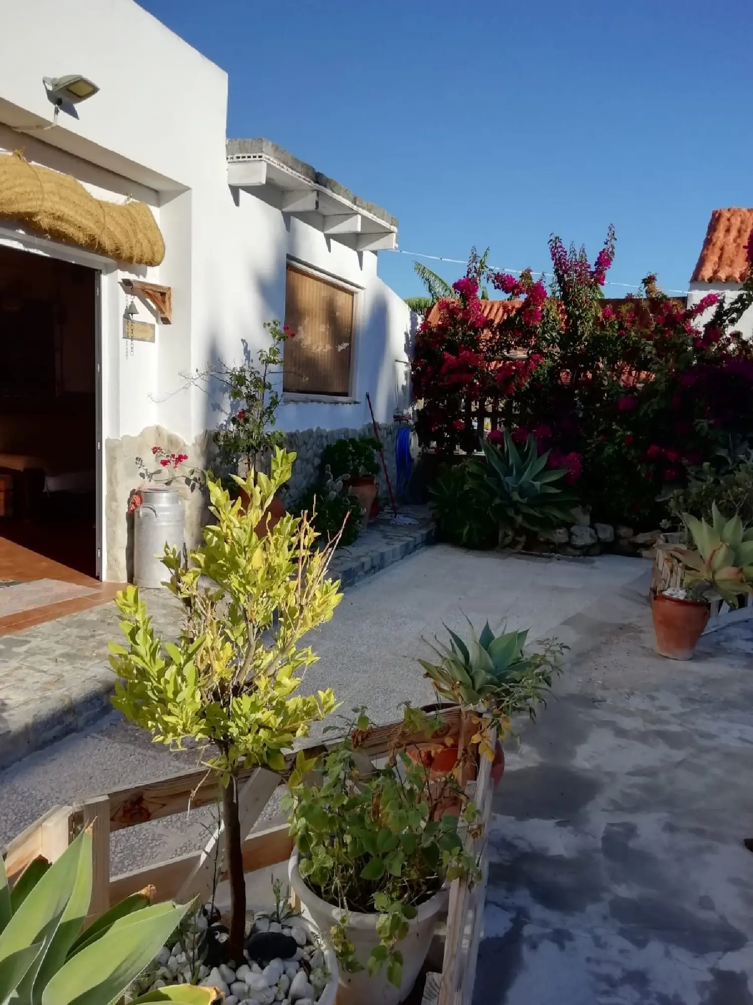  till salu lokal Cantarranas Janda (La) 1