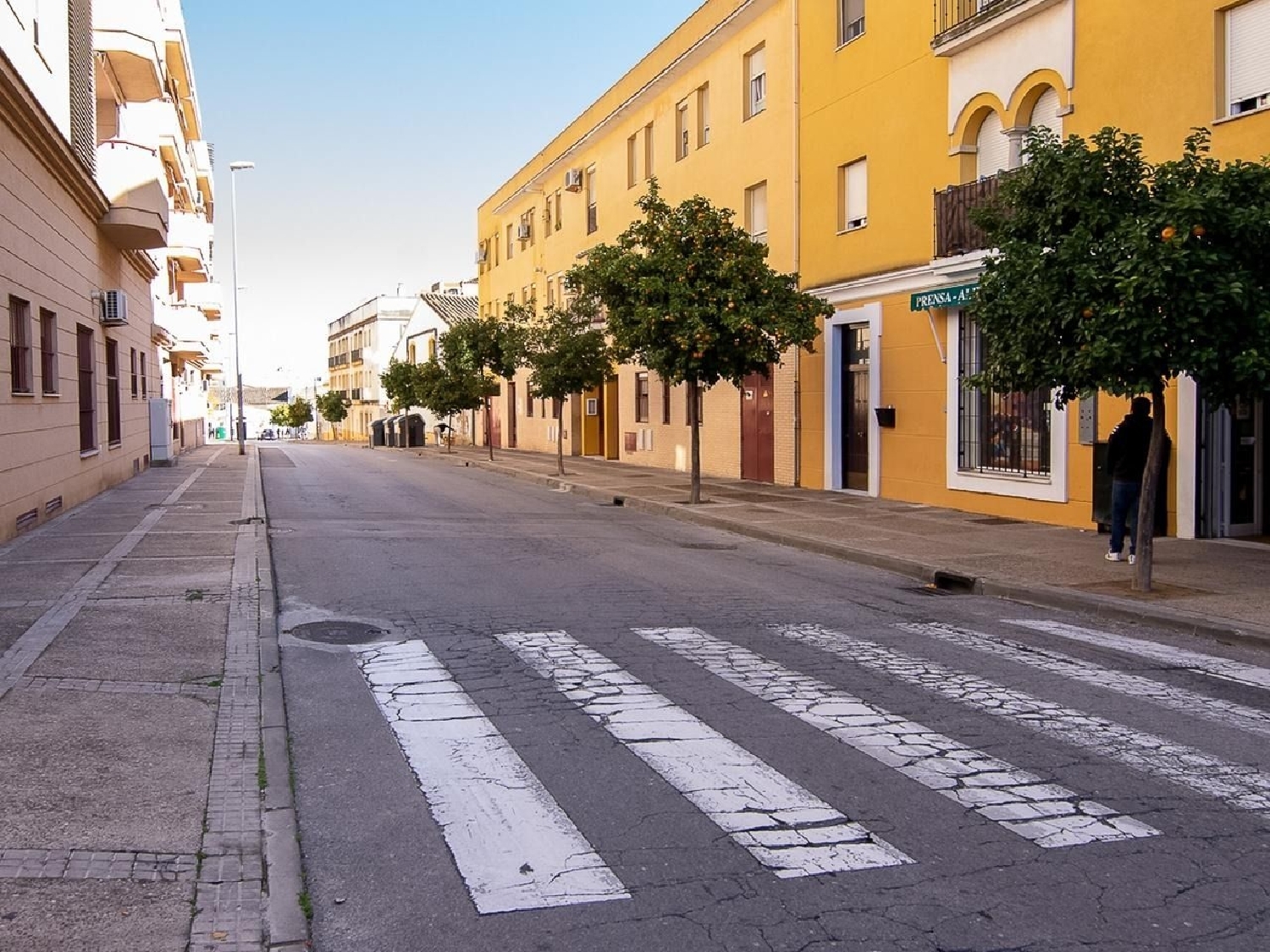  till salu lokal La Plata Campiña De Jerez 1