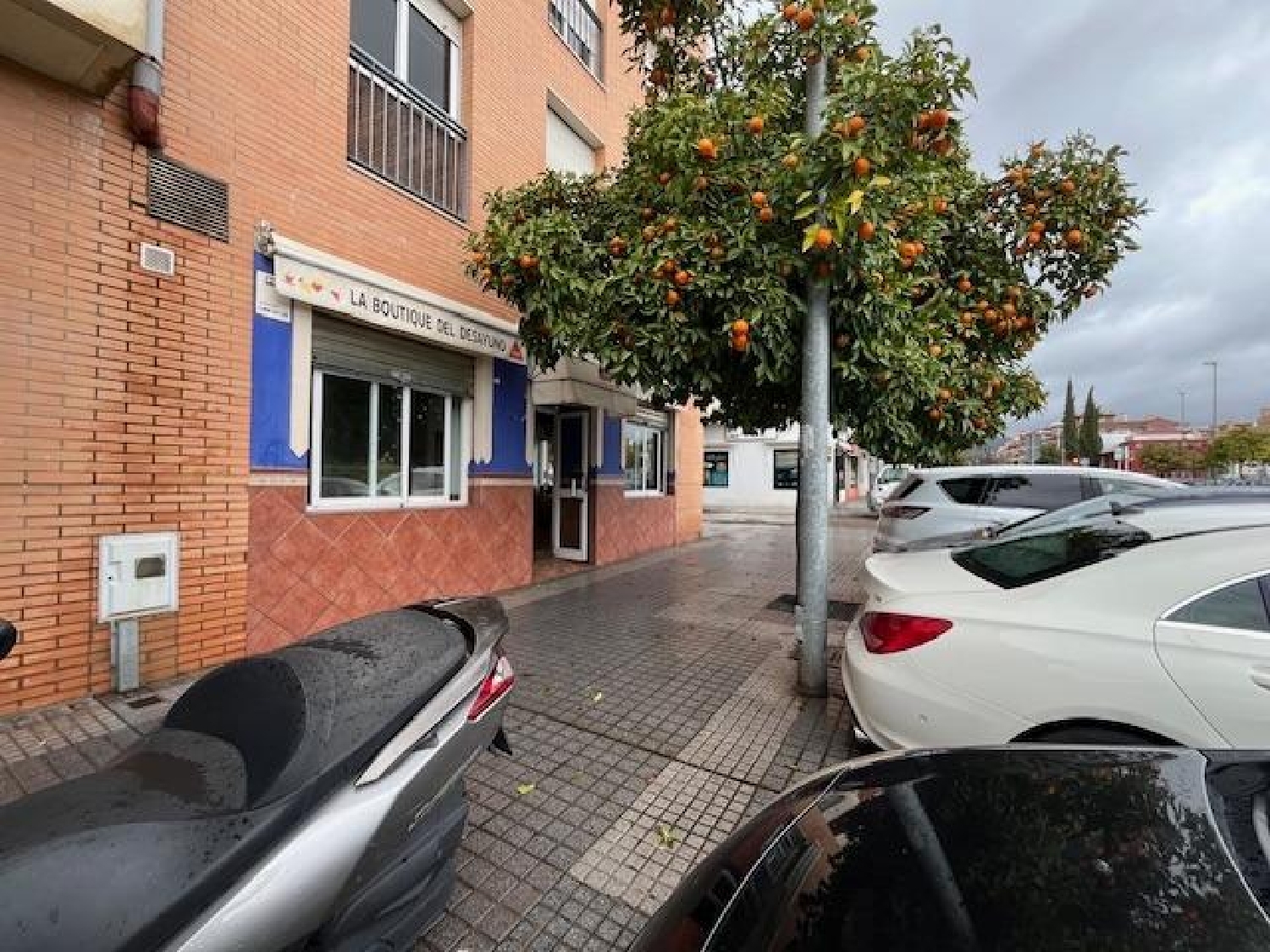  till salu lokal Las Ermitas Córdoba 4