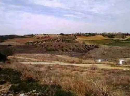La Dehesa Cuenca Del Guadarrama lokal foto 6195956