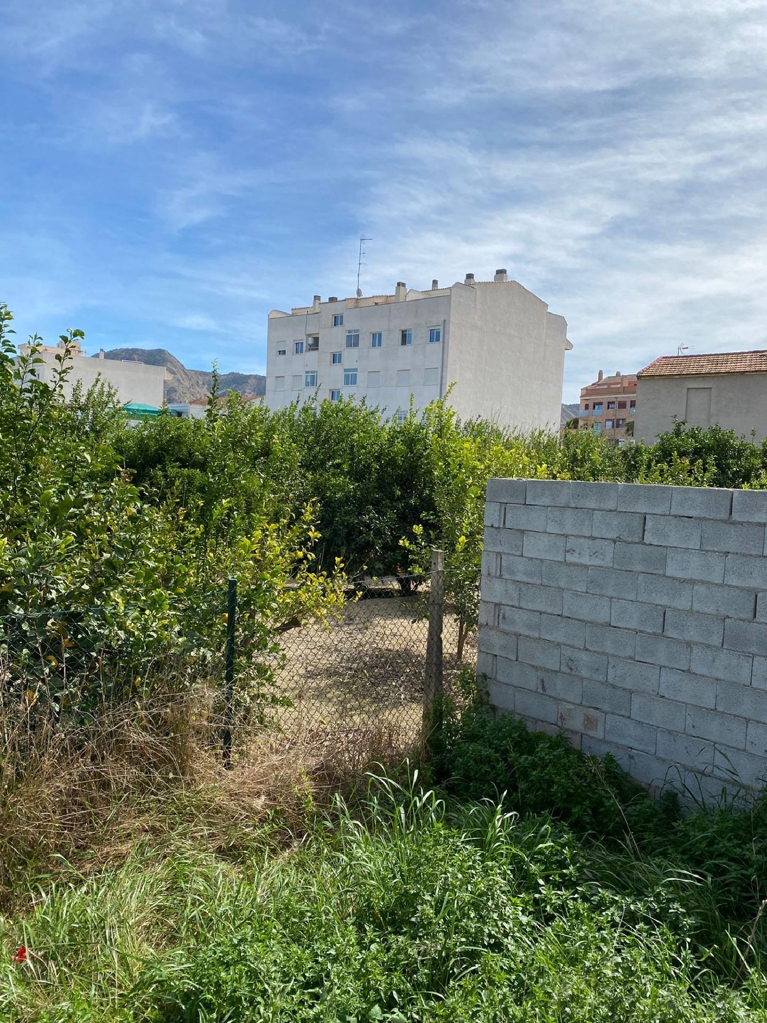  till salu lokal Las Tejeras Huerta De Murcia 5