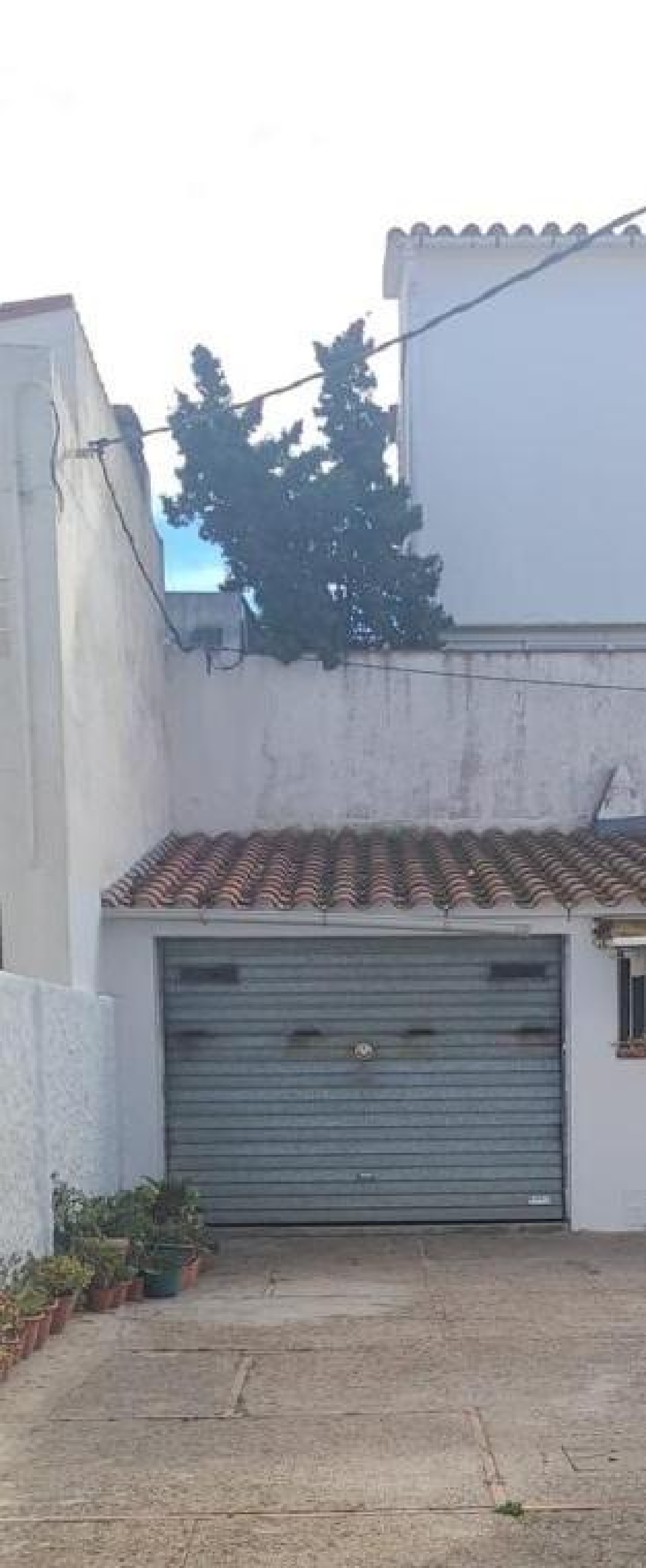 till salu lokal L'estartit Baix Empordà 3