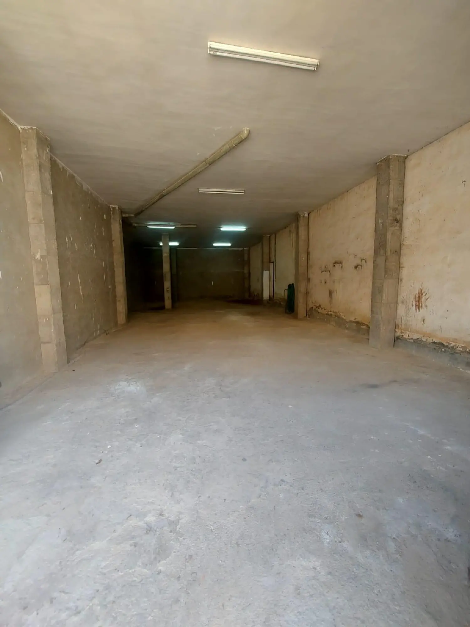 till salu lokal Campillo De Abajo Campo De Cartagena 2
