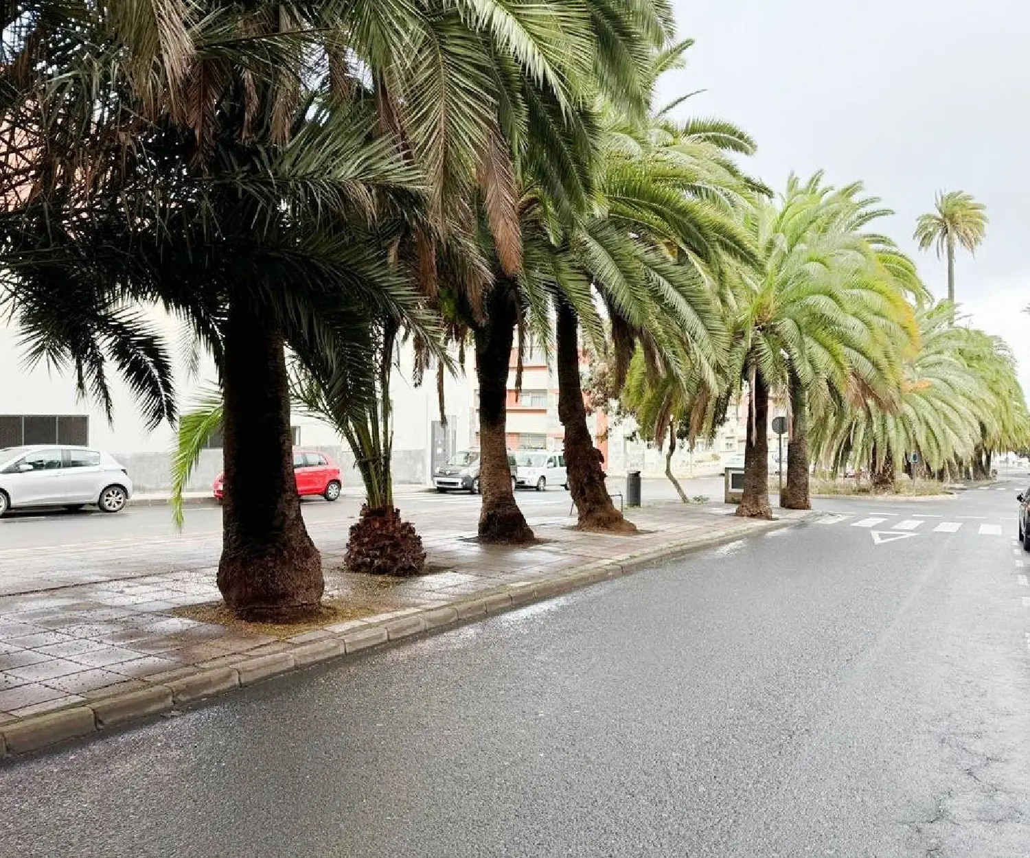  till salu lokal Macher Lanzarote 1
