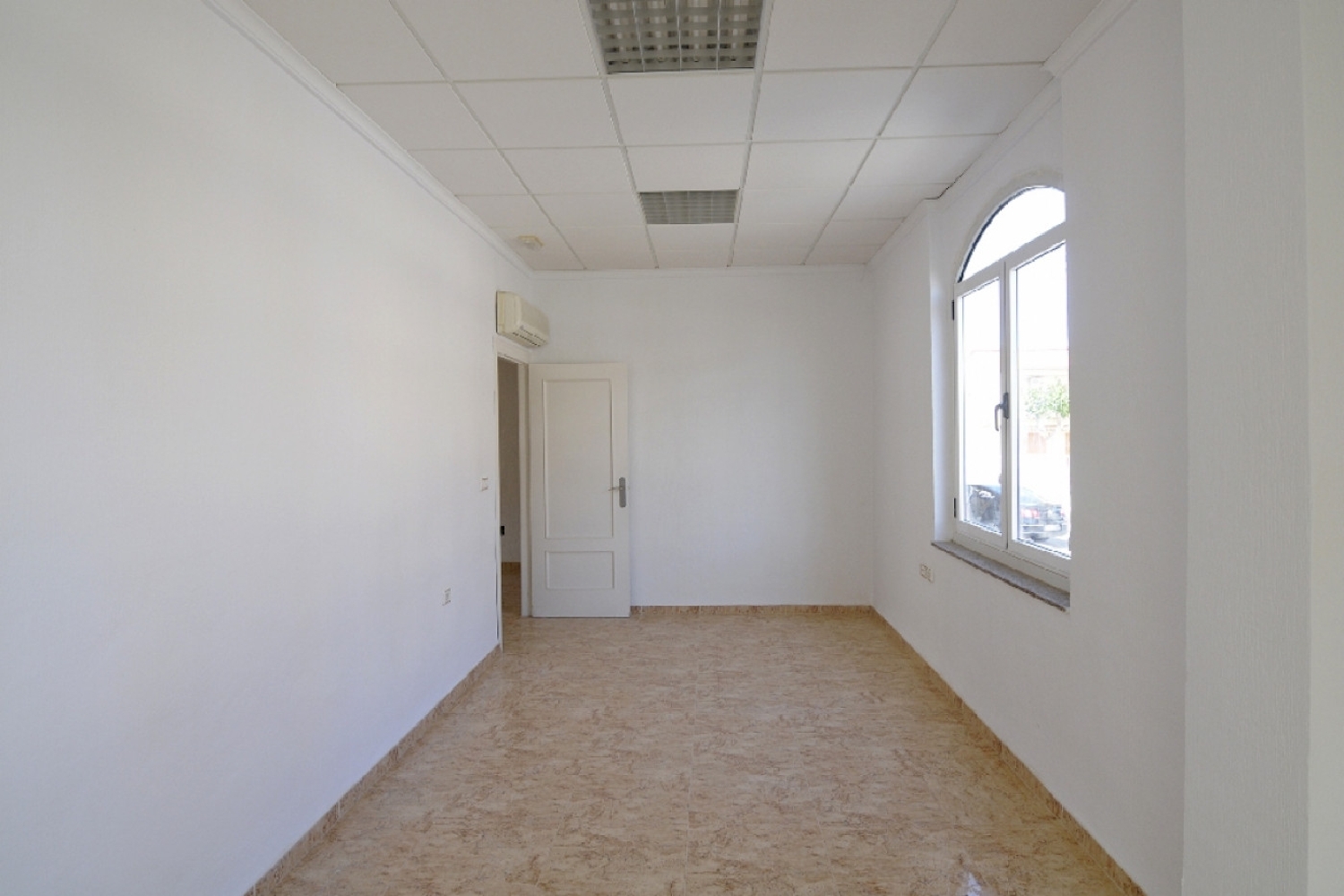  till salu lokal Mil Palmeras Baix Segura 8