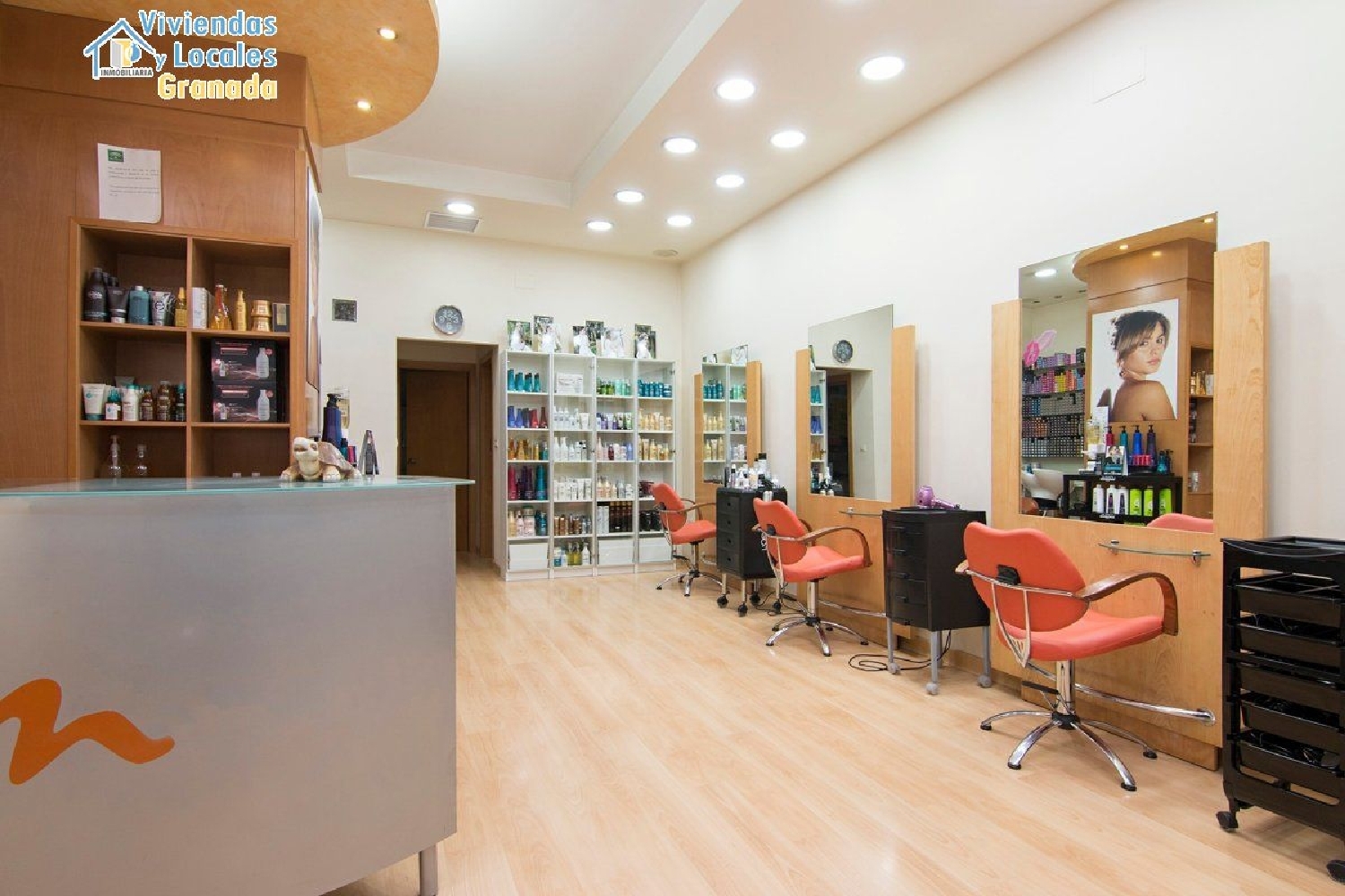 till salu lokal Moclín Loja 3