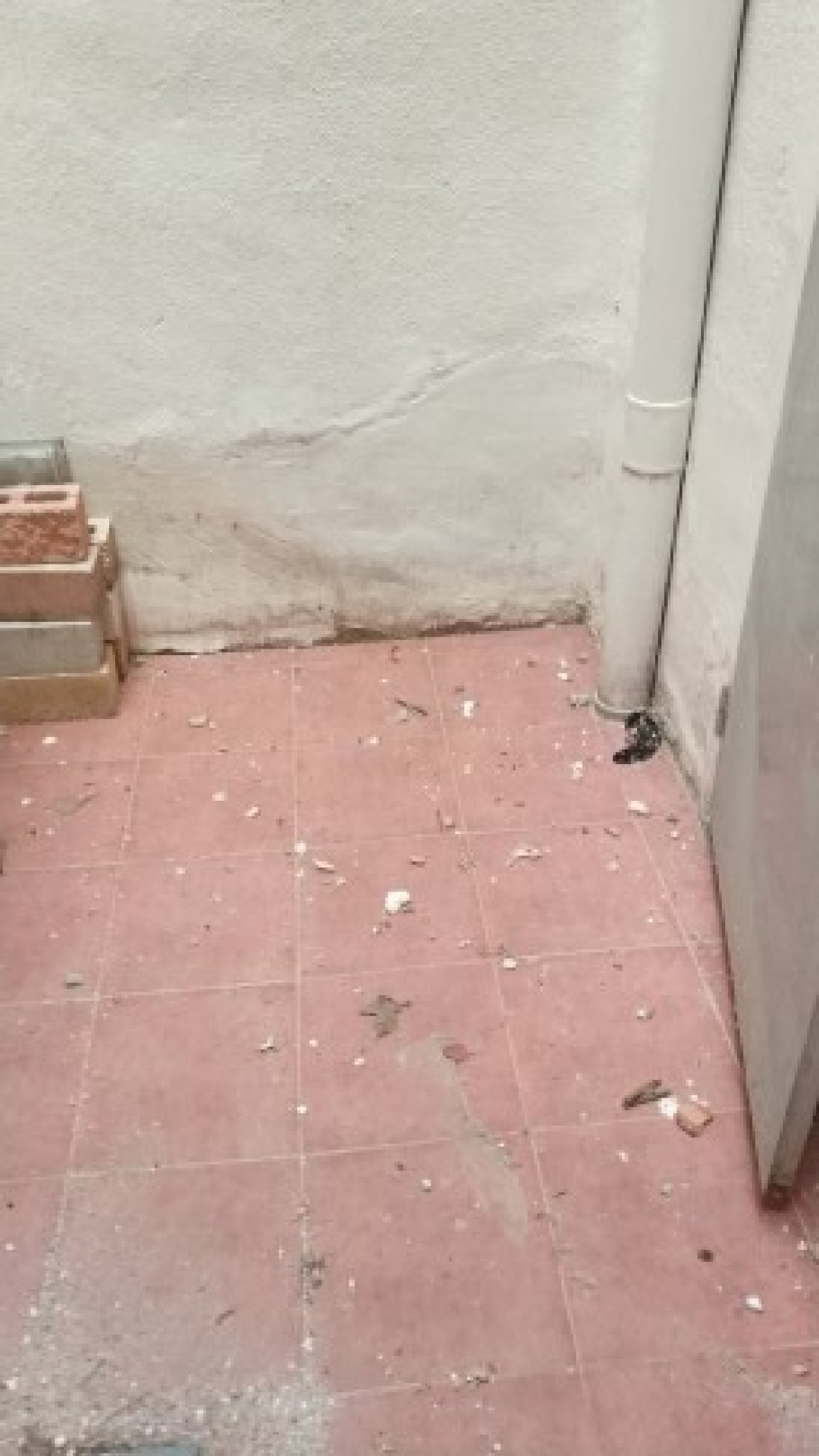  till salu lokal La Romaneta Vinalopó Mitjà 8