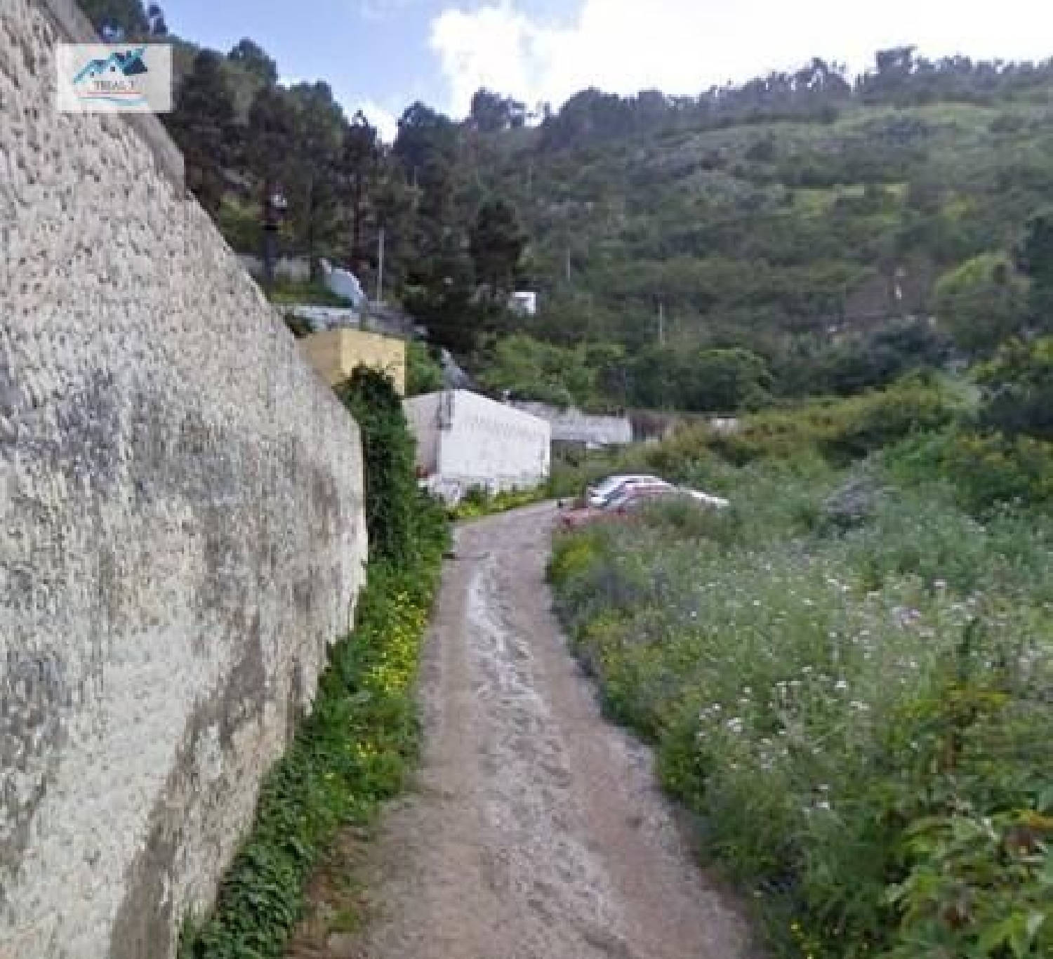  till salu lokal El Alamo Área Norte 1