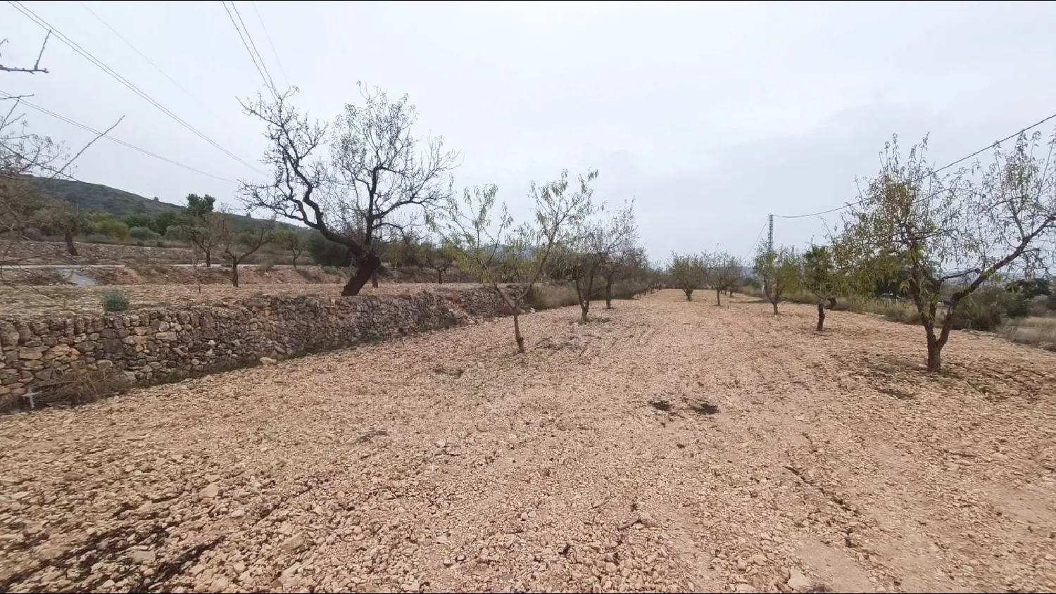  till salu lokal Els Montesinos Vinalopó Mitjà 2