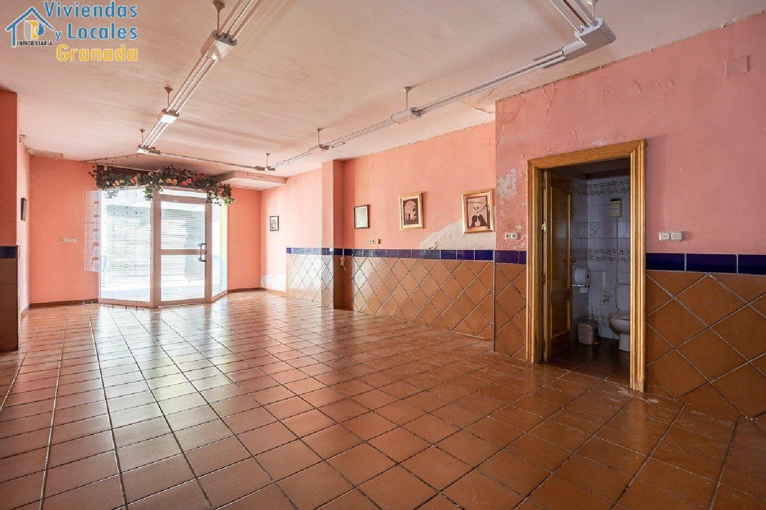 till salu lokal Ogíjares Vega De Granada 2