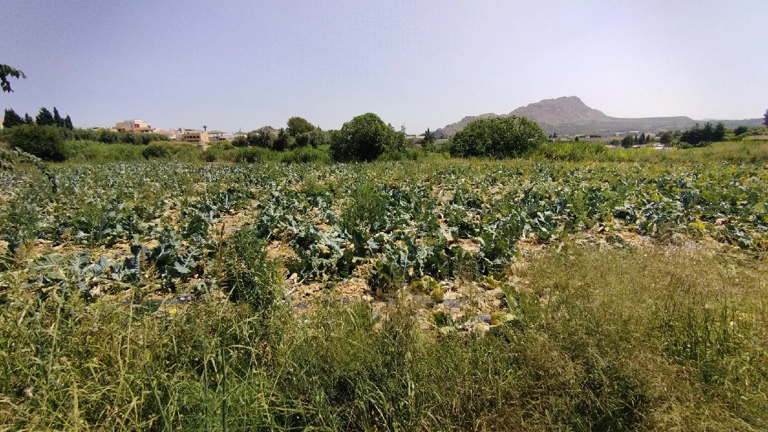 till salu lokal Can Parera-Can Valls Vallès Occidental 1