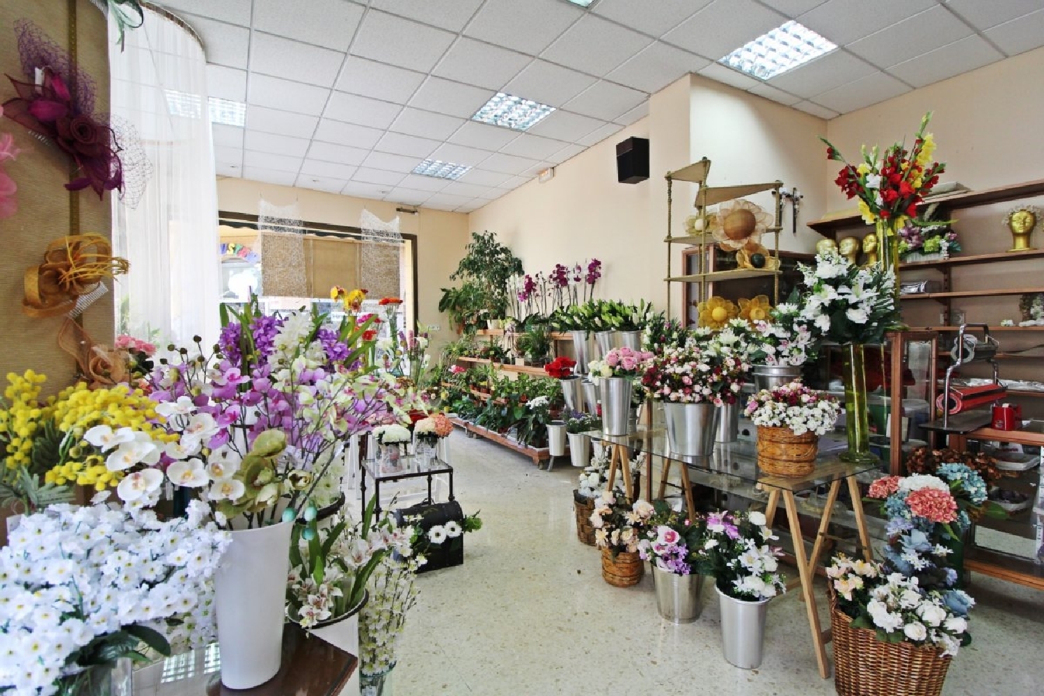  en venta local Pardaleras-Ciudad Jardín Badajoz 4
