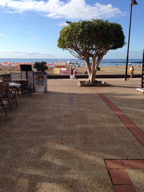 Playa De Los Cristianos Zona Sur lokal foto 6250679