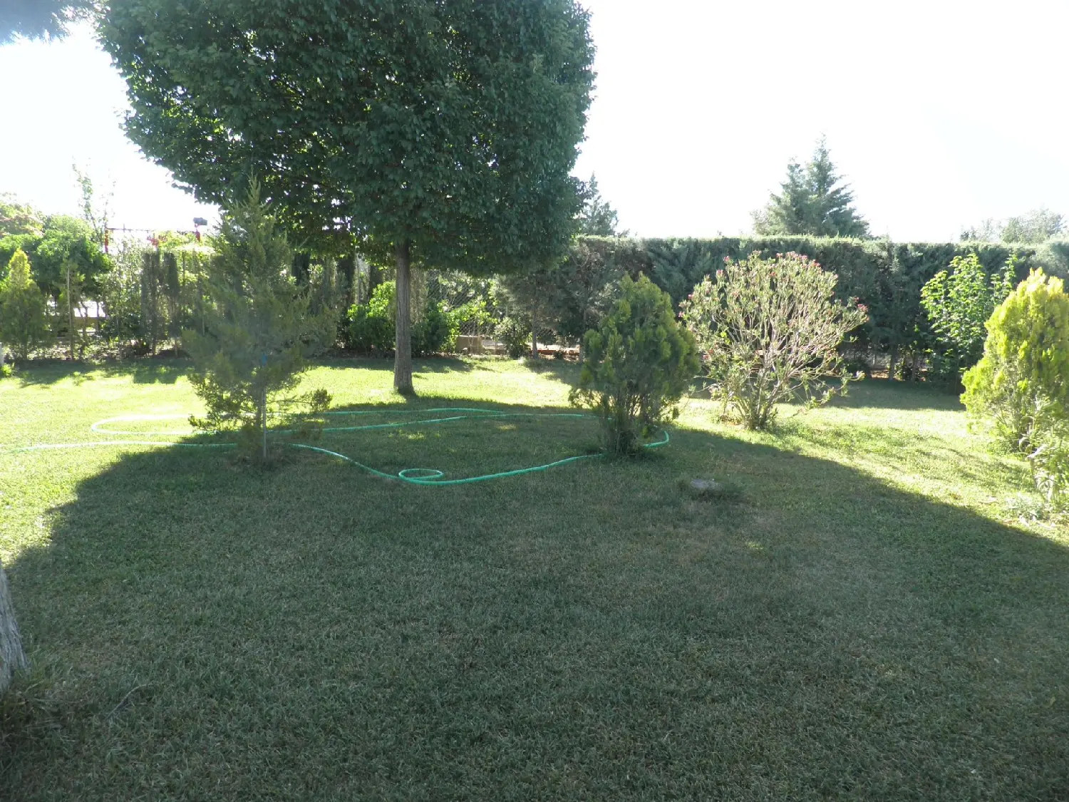  till salu lokal Urb. Ciudad Jardín Campo De Calatrava 1