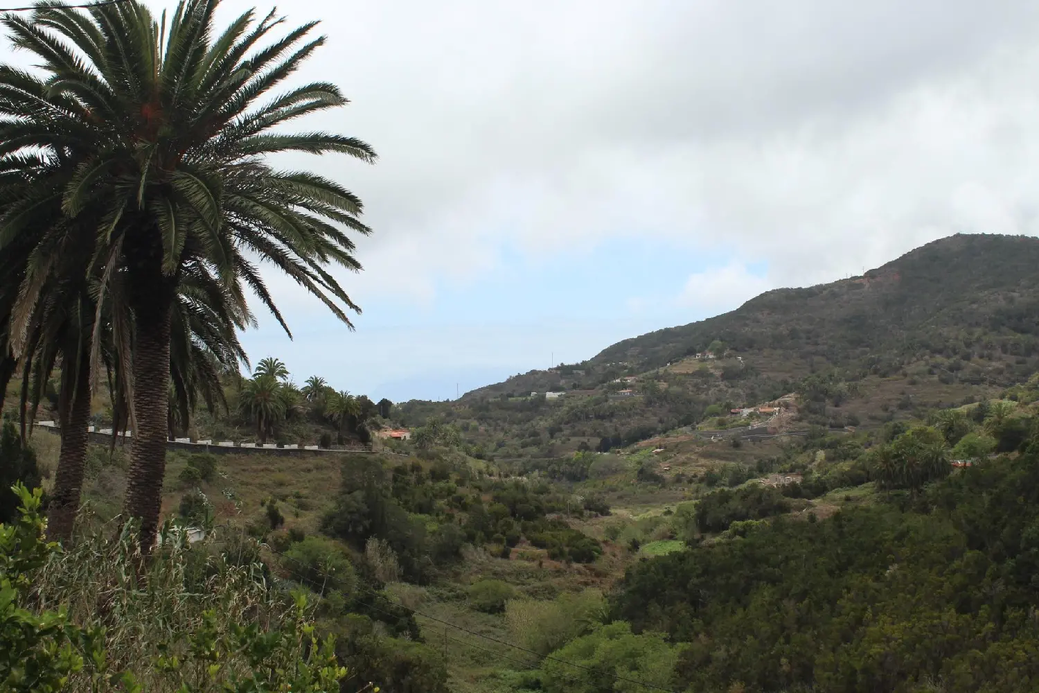 till salu lokal La Jaca Zona Sureste 3