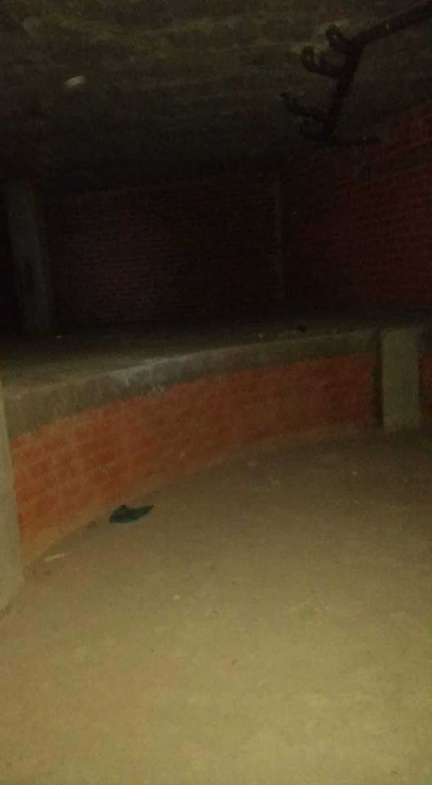  till salu lokal Portopaio Bergantiños 4