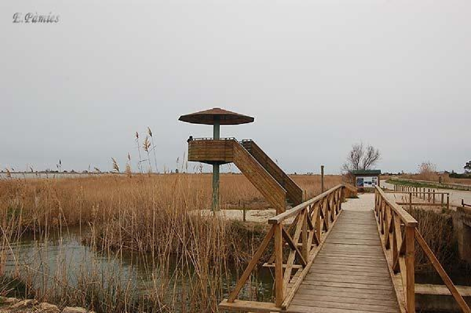  till salu lokal Riumar Baix Ebre 4