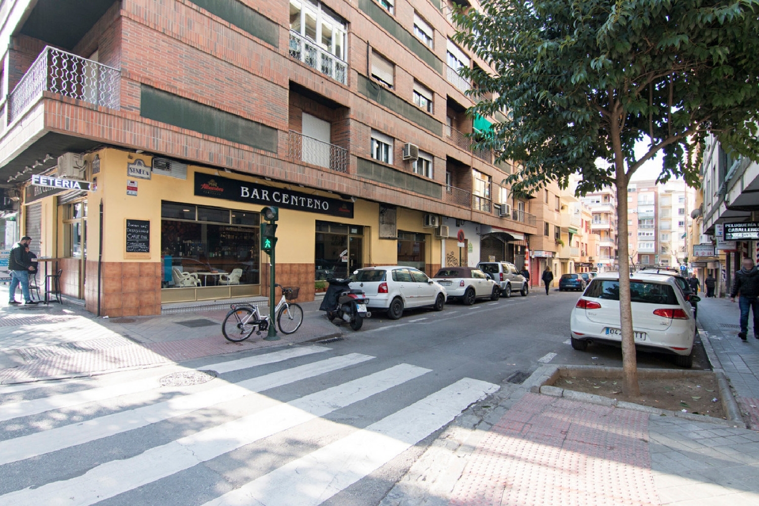  till salu lokal Ronda Vega De Granada 4